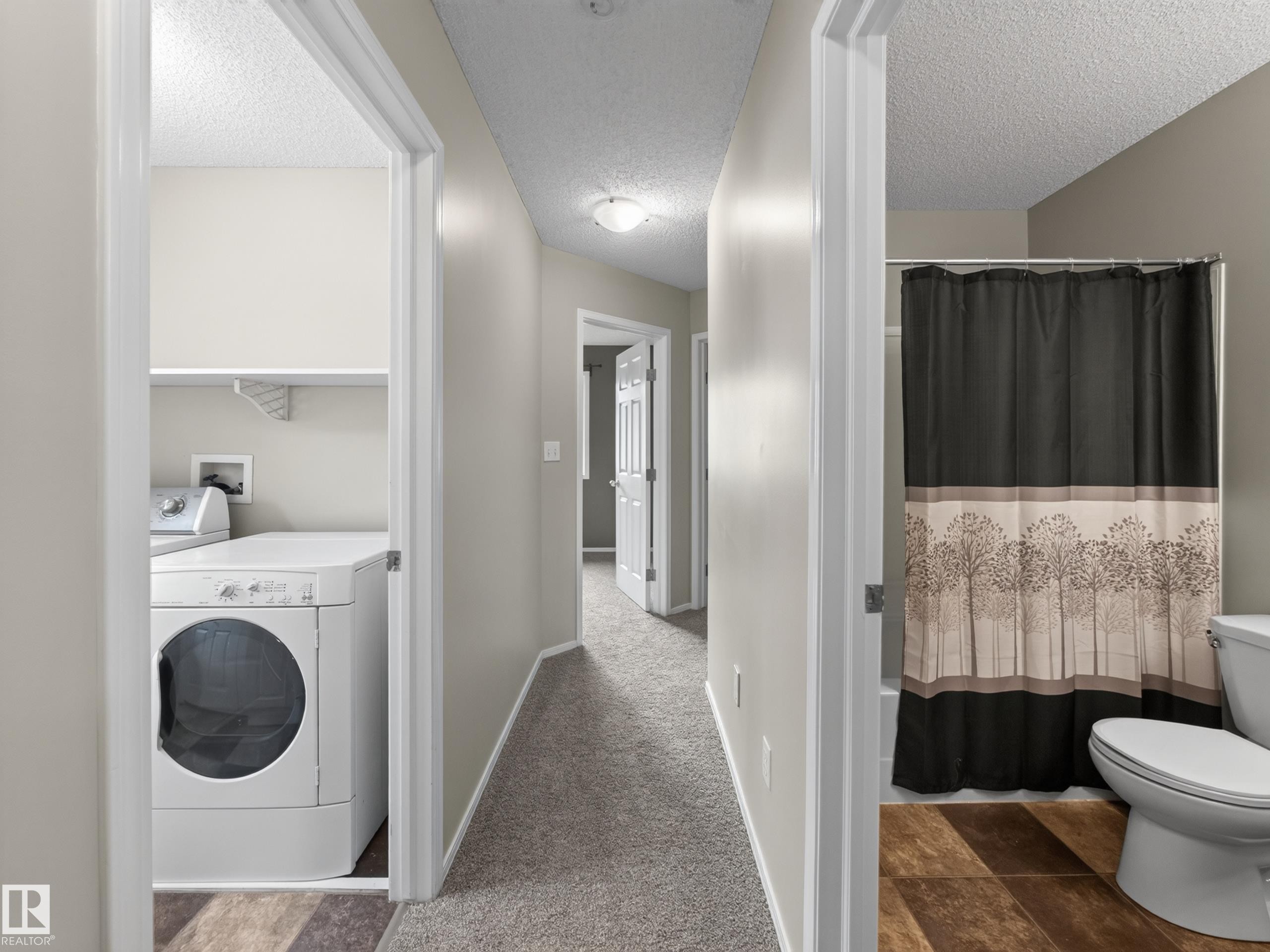 13003 101 Street Nw, Edmonton, AB - Indoor Photo Showing Laundry Room