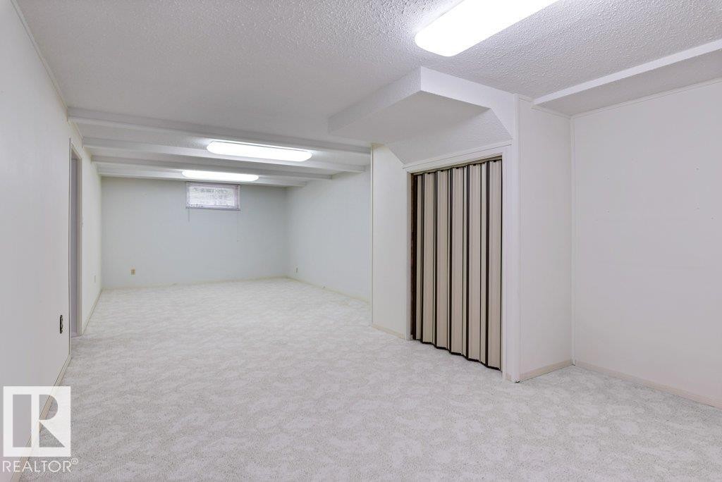 11217 38 Street Nw, Edmonton, AB - Indoor Photo Showing Basement