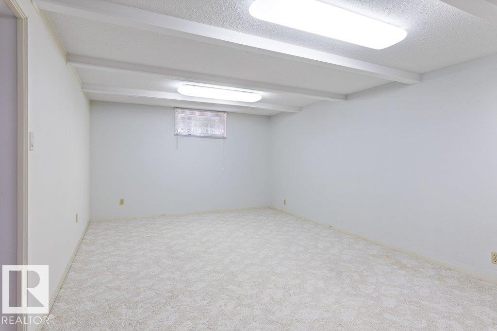 11217 38 Street Nw, Edmonton, AB - Indoor Photo Showing Basement