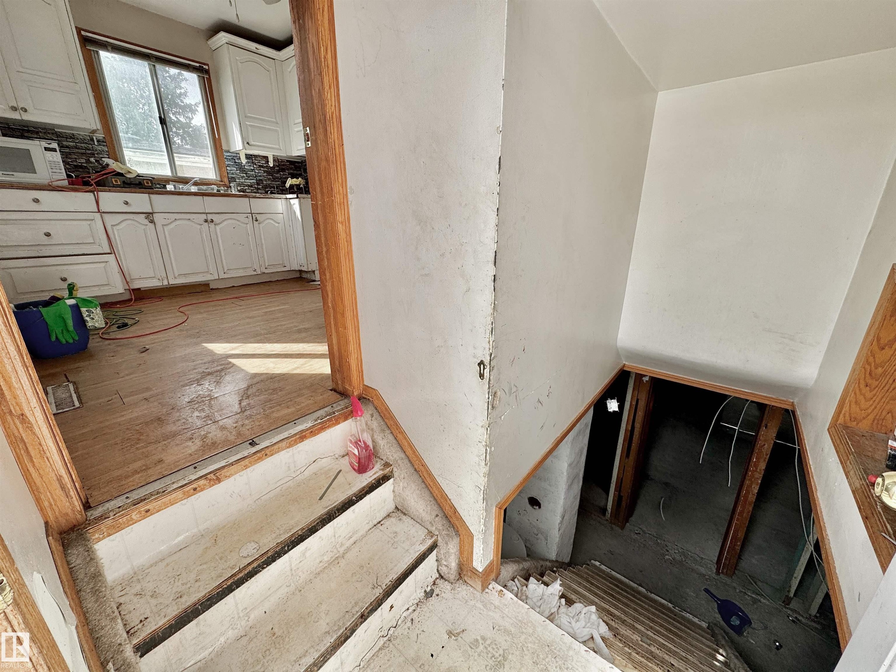 Back Door Entrance to Kitchen or Basement - 6209 106 Street Nw, Edmonton, AB - Indoor