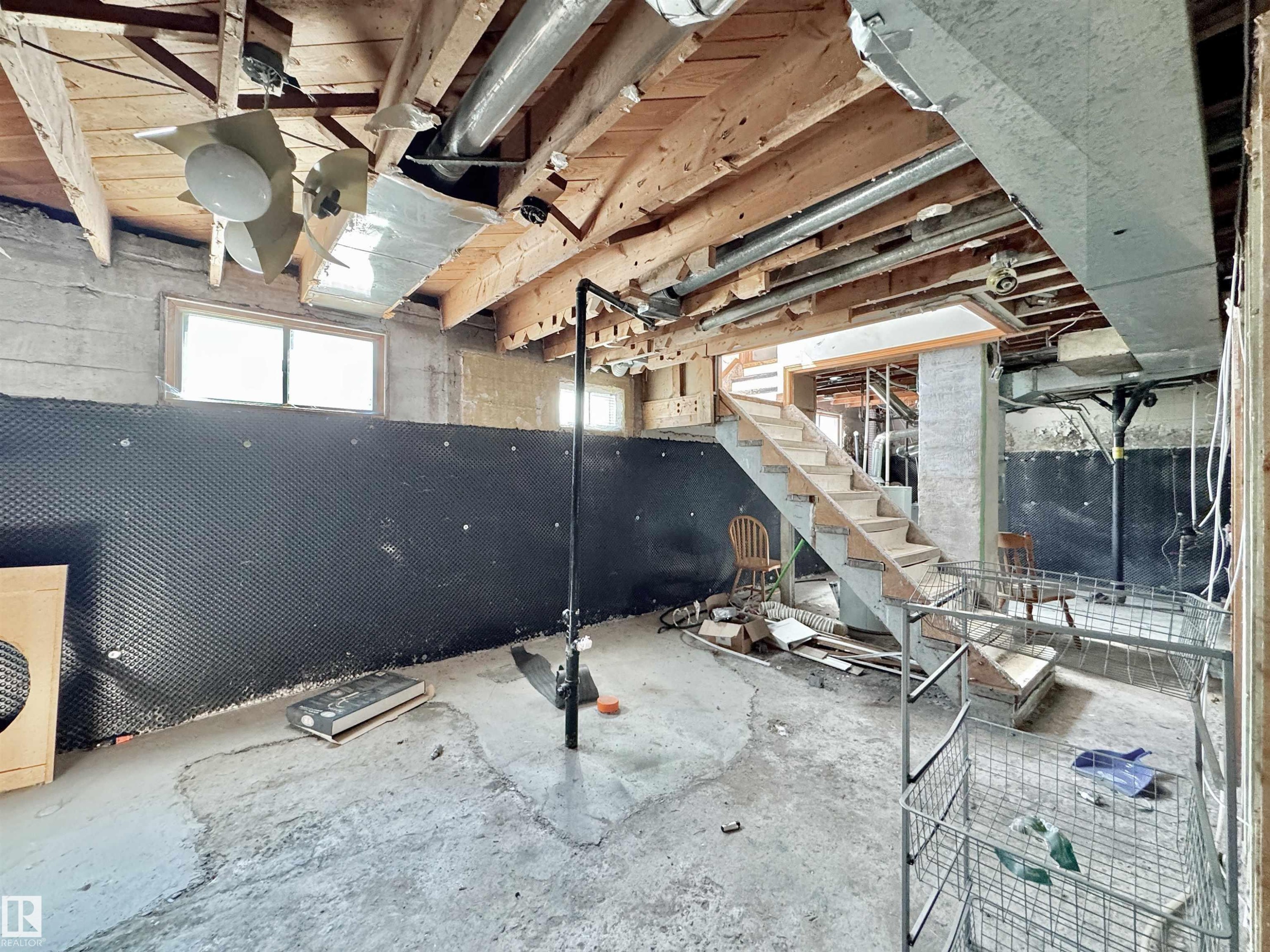 6209 106 Street Nw, Edmonton, AB - Indoor Photo Showing Basement