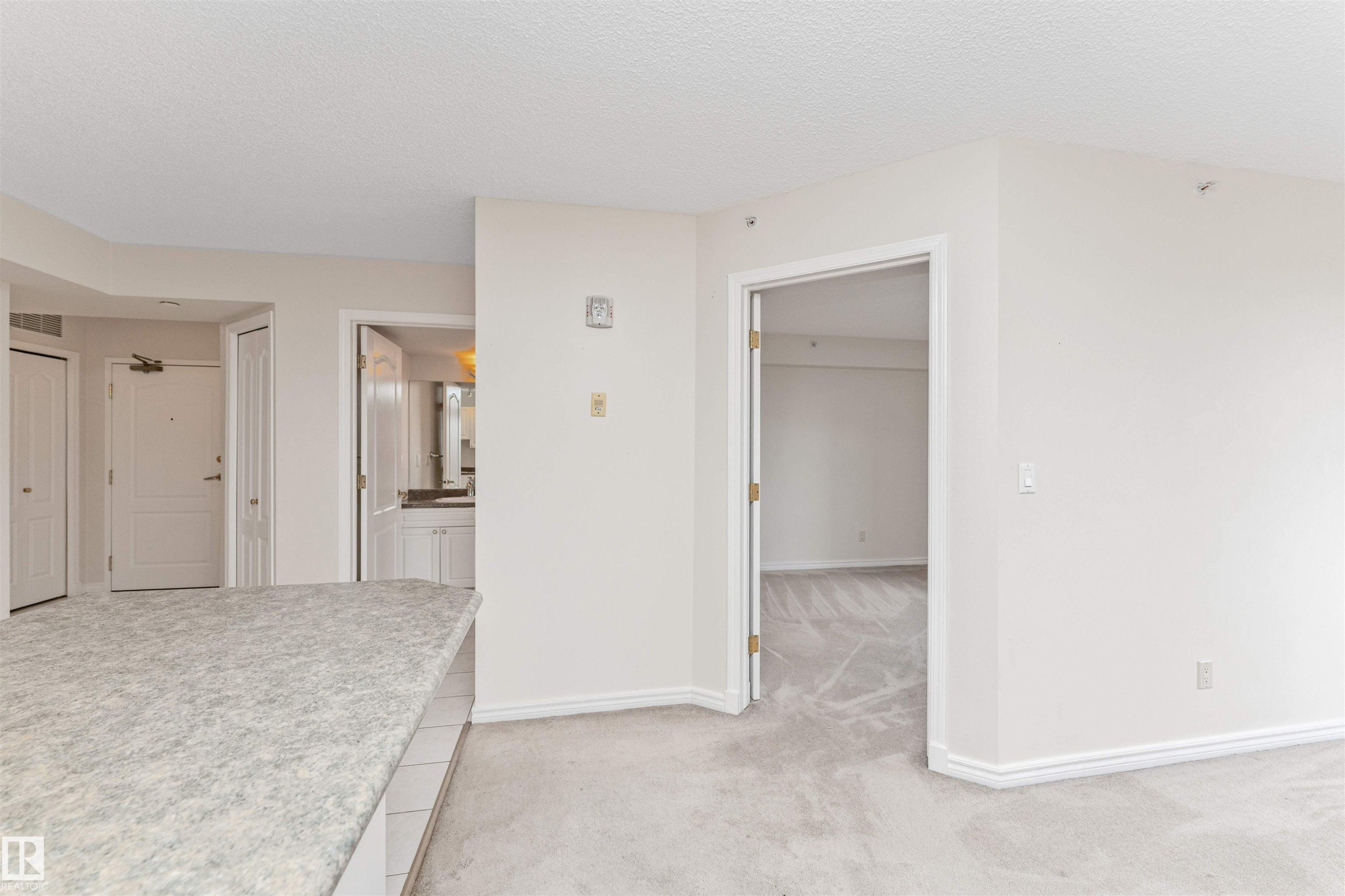 Granite-style countertop, white cabinetry, and light-toned carpeting throughout - #1101 10909 103 Av Nw, Edmonton, AB - Indoor Photo Showing Other Room