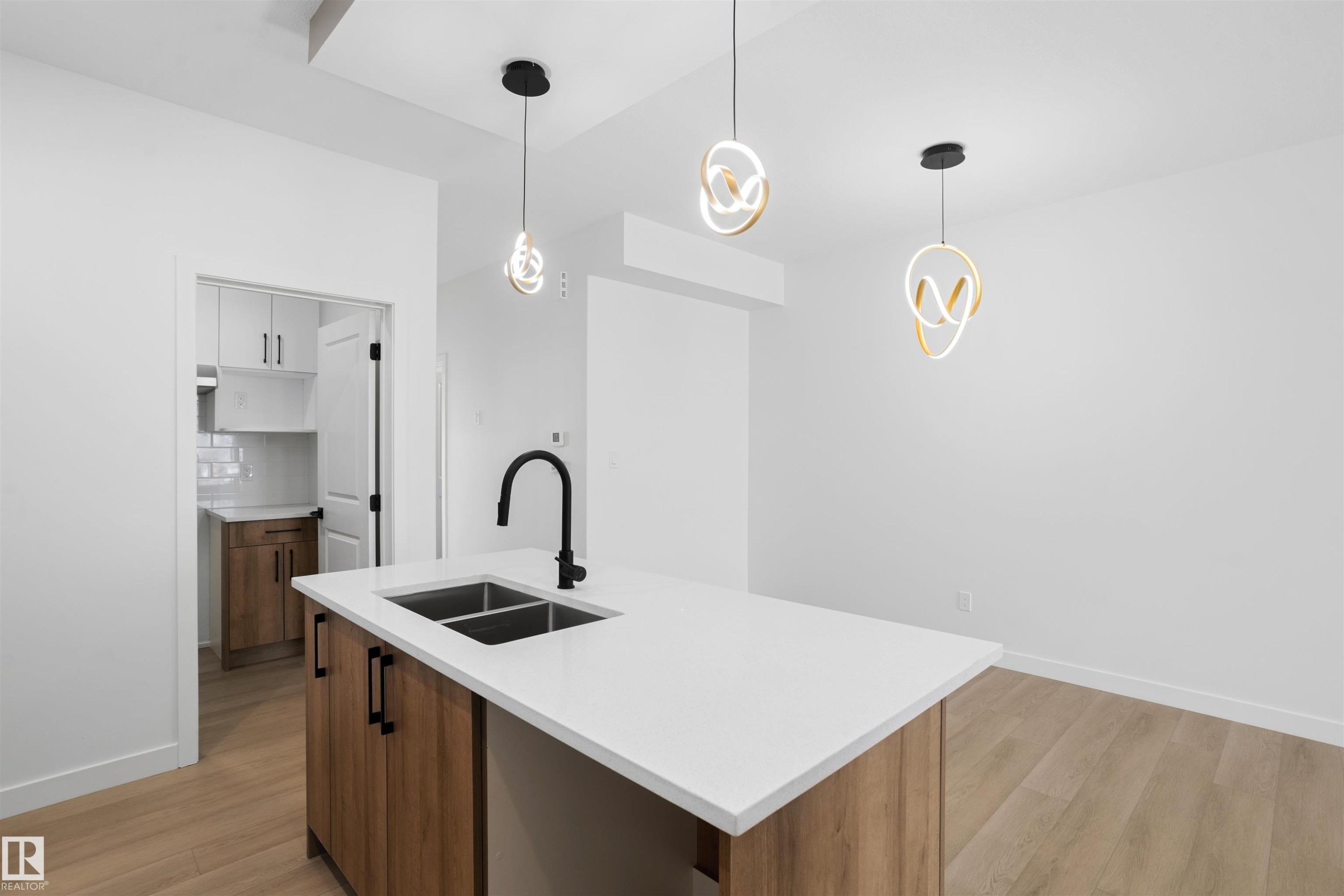 1563 211 Street Nw, Edmonton, AB - Indoor Photo Showing Kitchen With Double Sink With Upgraded Kitchen