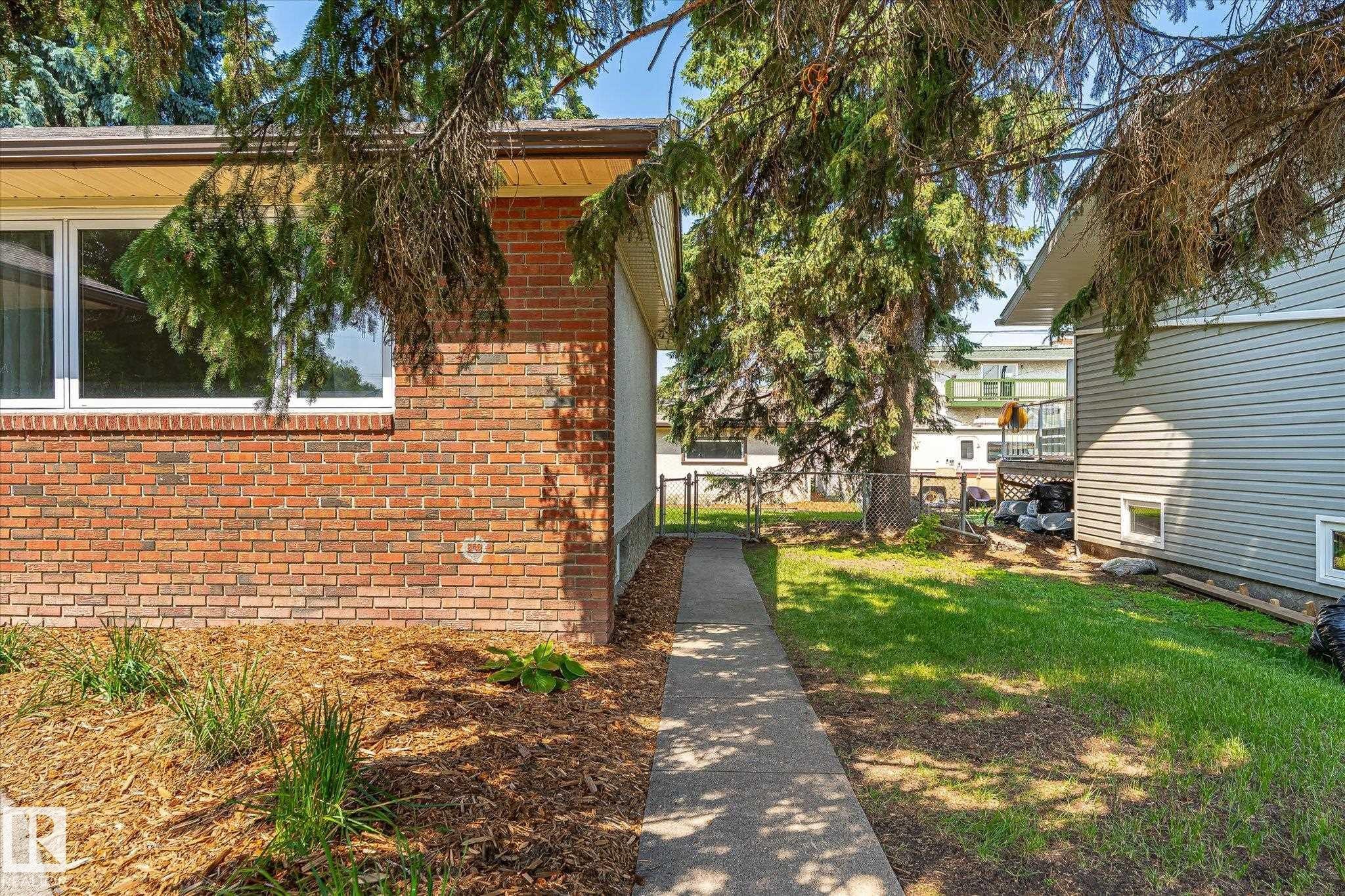 Brick exterior with white frame windows, featuring a concrete walkway, mulched landscaping, and established trees - 4708 104A Avenue Nw, Edmonton, AB - Outdoor With Exterior
