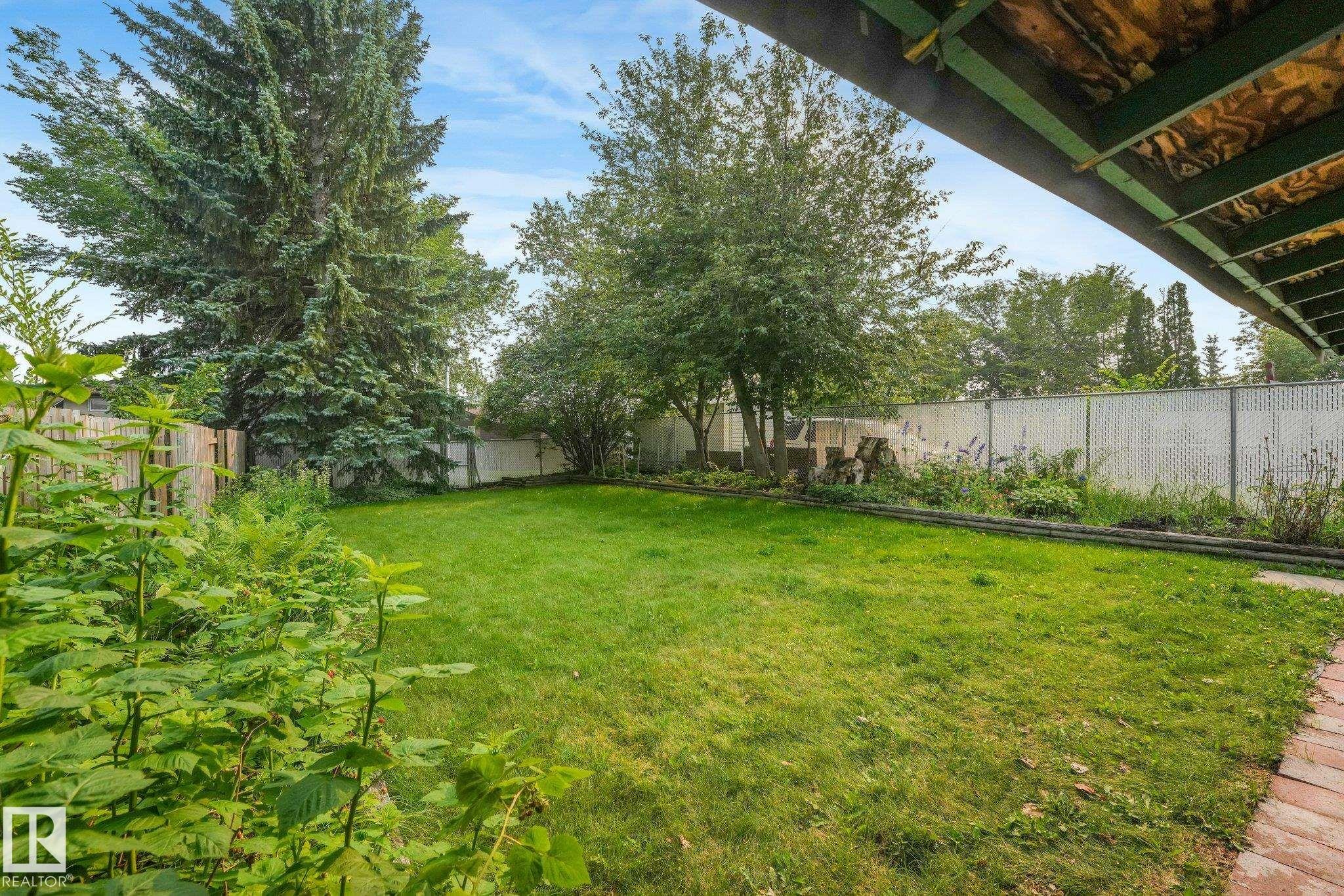 Expansive backyard featuring a manicured lawn, mature trees, and a combination of wood and chain-link fencing - 4135 134 Avenue Nw, Edmonton, AB - Outdoor