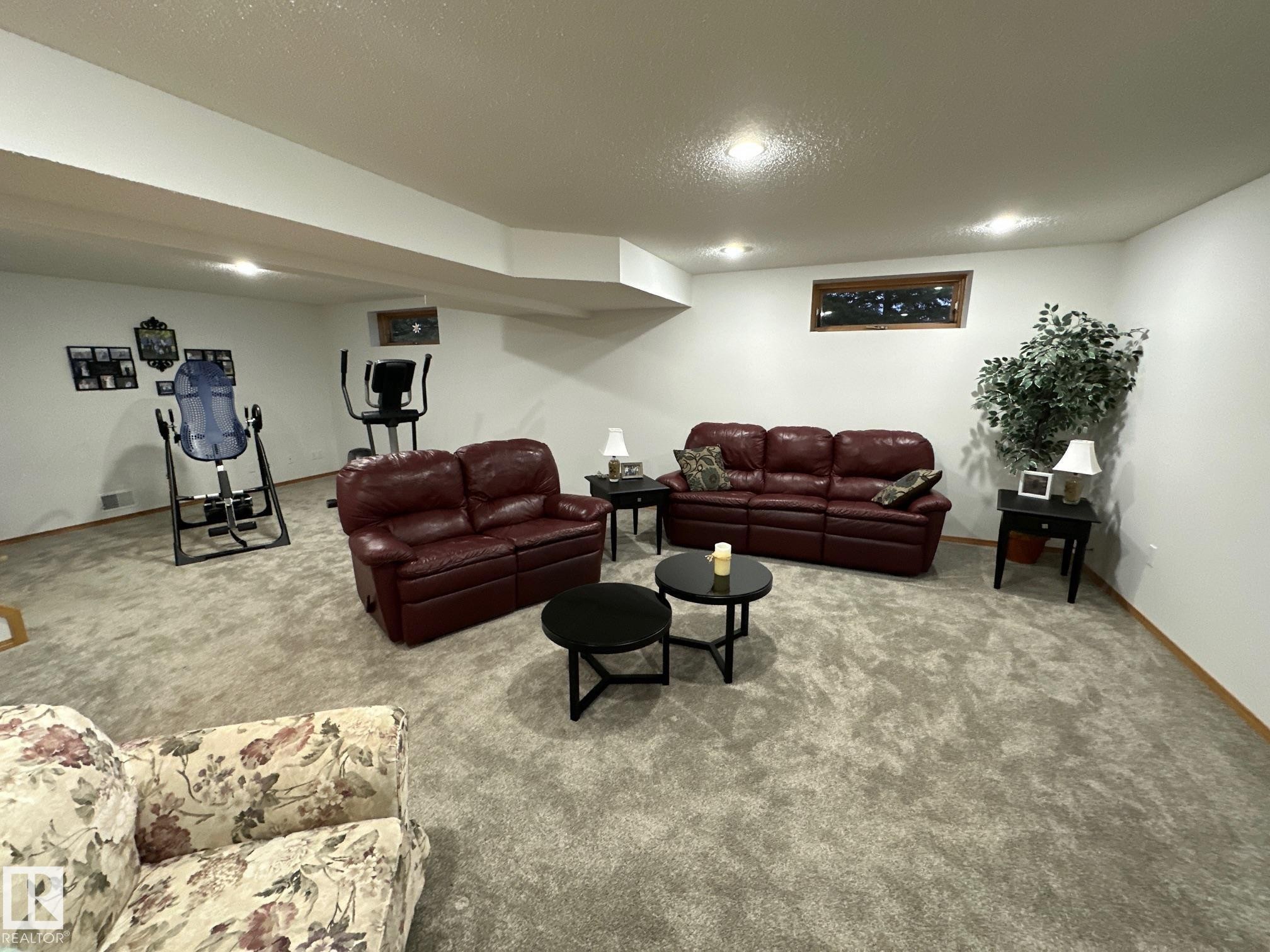 27519 79 Avenue, Stony Plain, AB - Indoor Photo Showing Basement