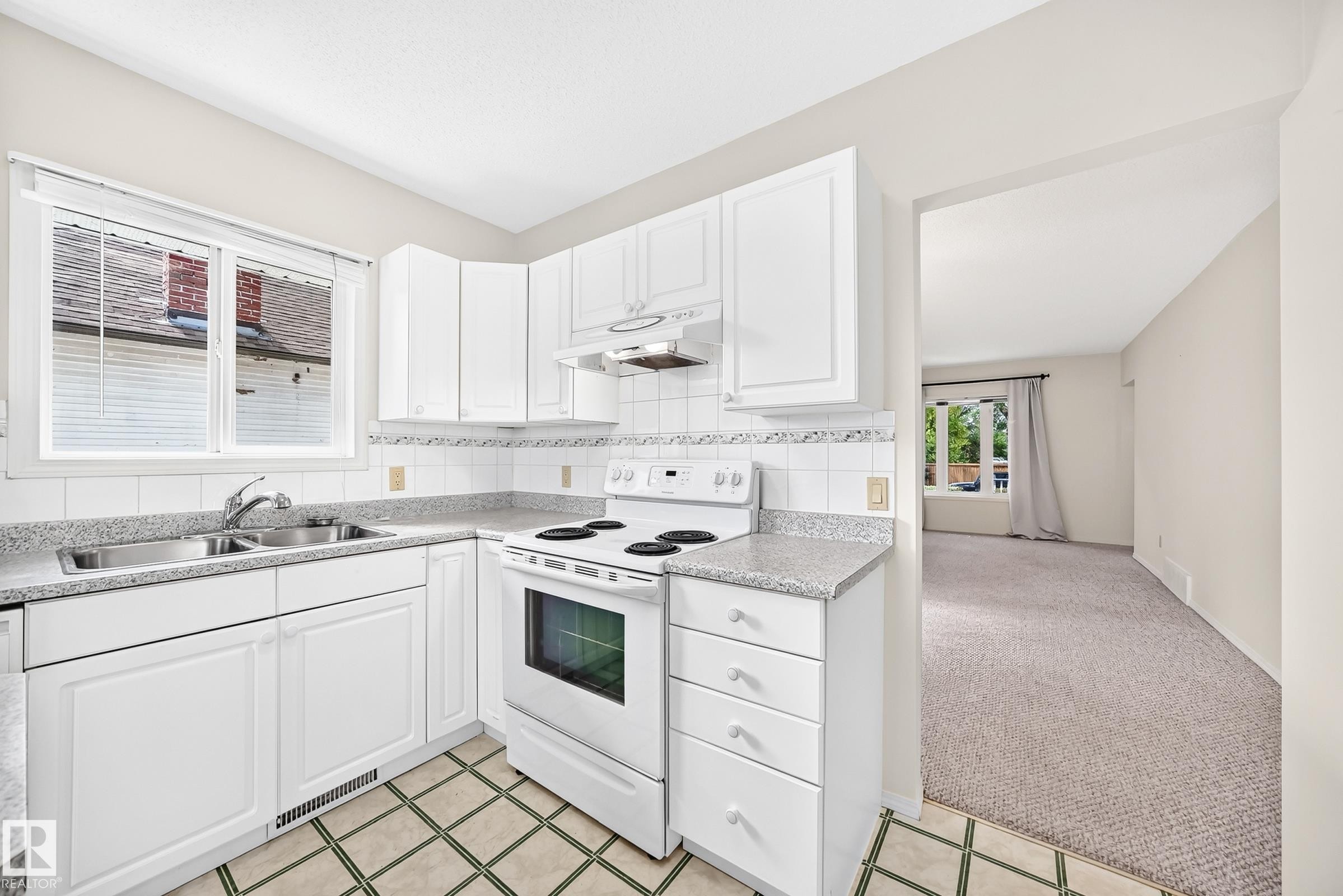 11045 125 Street Nw, Edmonton, AB - Indoor Photo Showing Kitchen With Double Sink