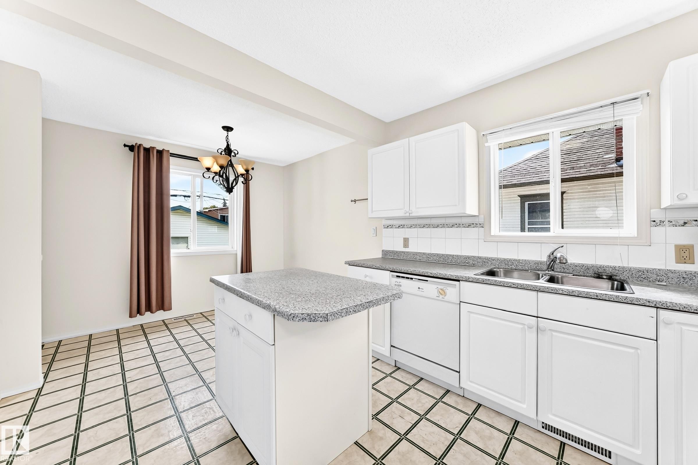 11045 125 Street Nw, Edmonton, AB - Indoor Photo Showing Kitchen With Double Sink