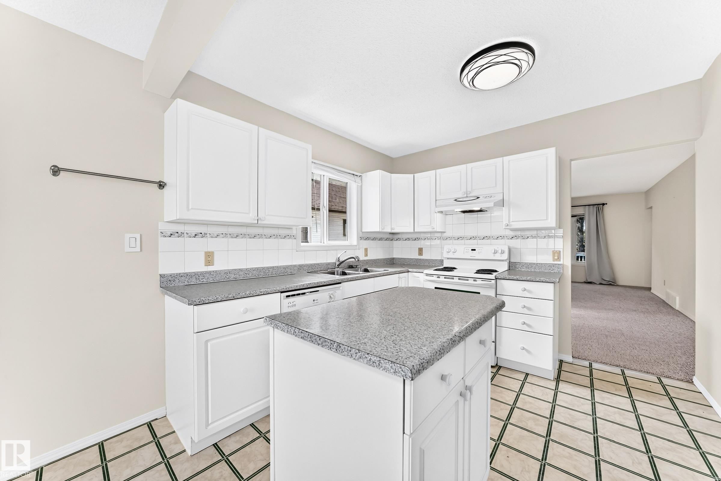 11045 125 Street Nw, Edmonton, AB - Indoor Photo Showing Kitchen With Double Sink