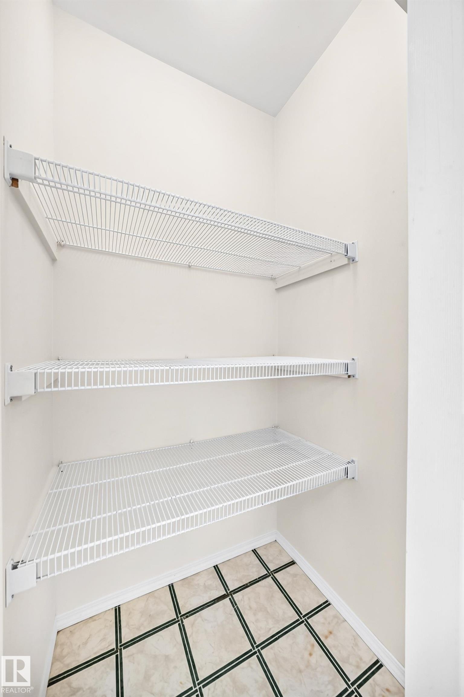 11045 125 Street Nw, Edmonton, AB - Indoor With Storage