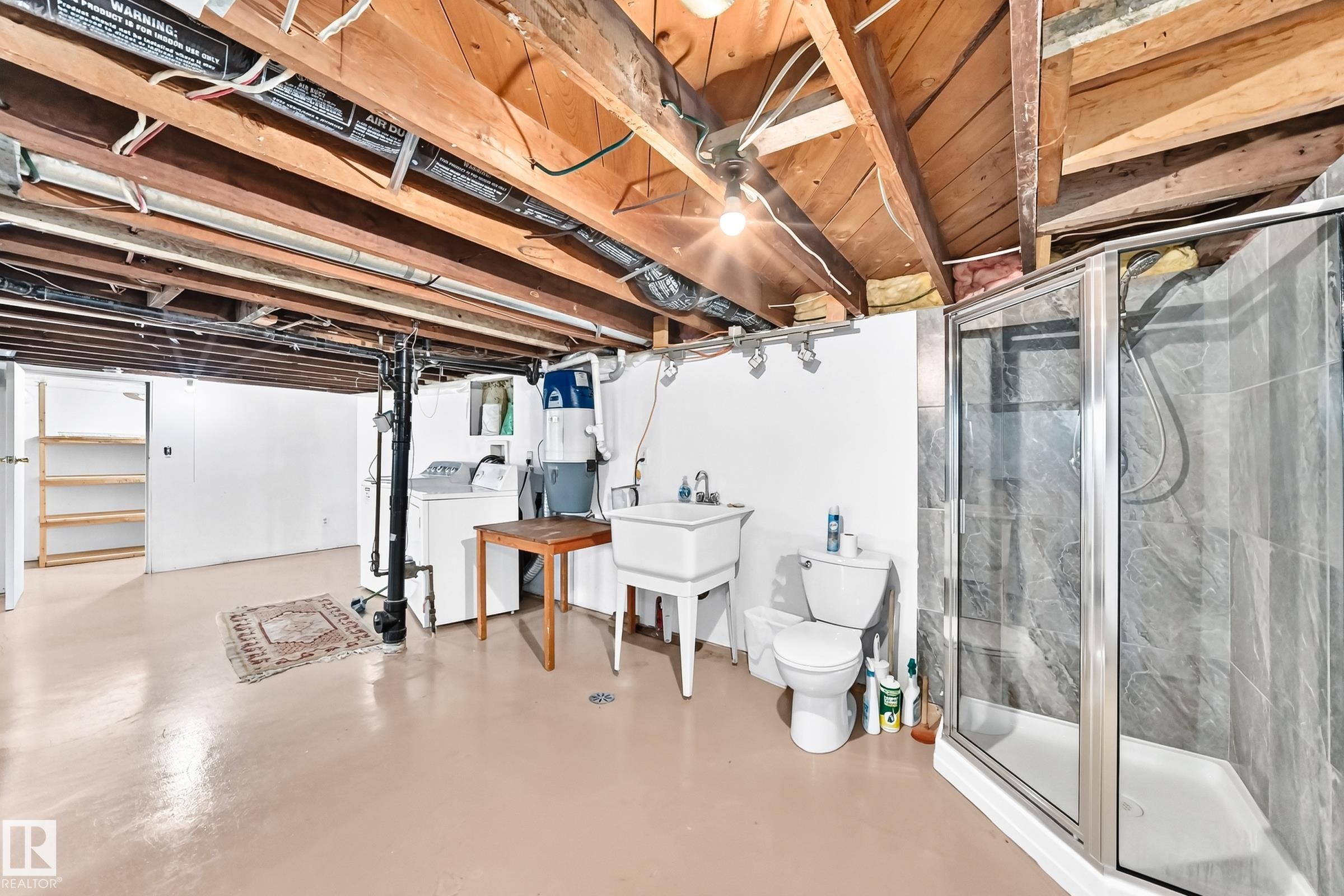 11045 125 Street Nw, Edmonton, AB - Indoor Photo Showing Basement