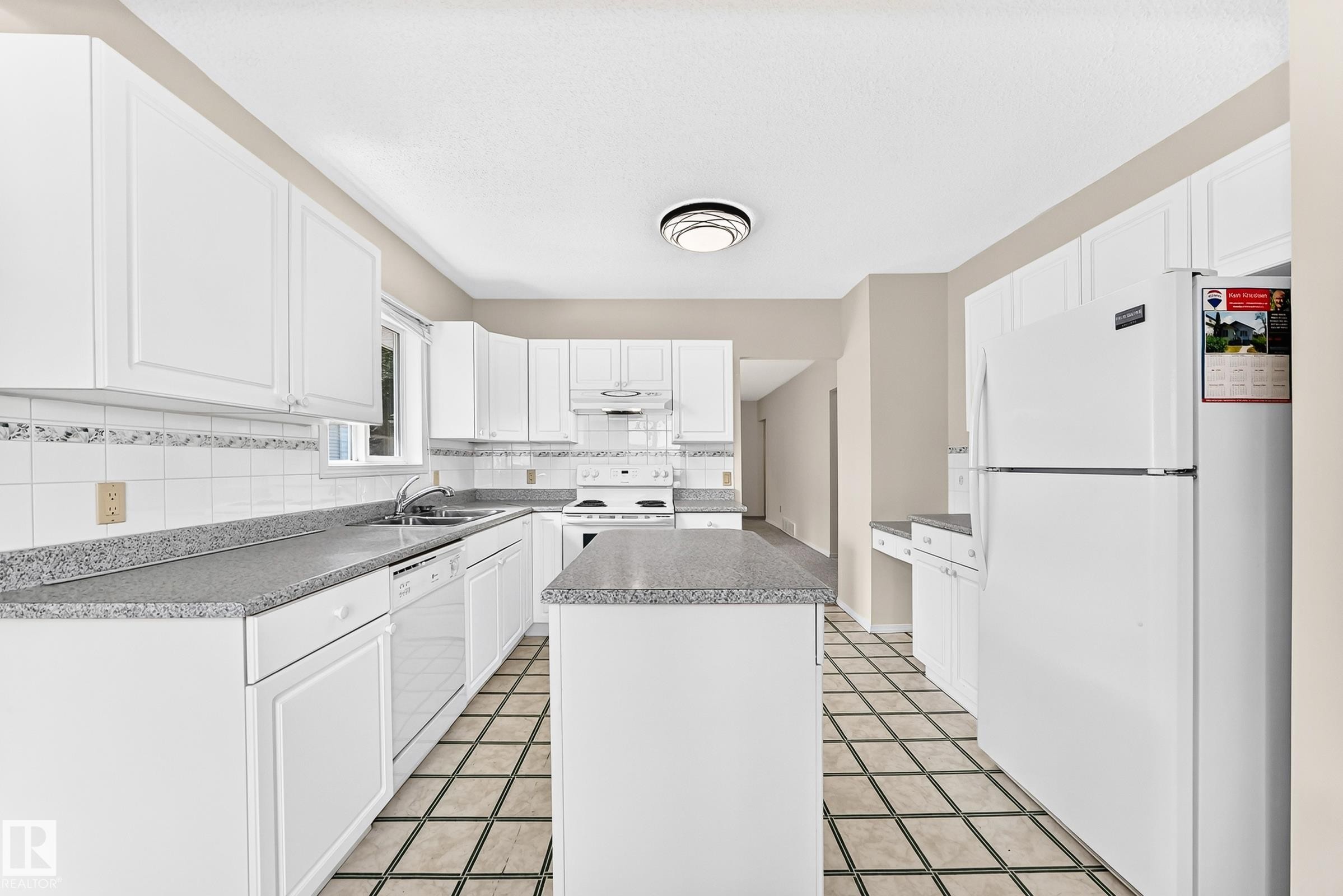 11045 125 Street Nw, Edmonton, AB - Indoor Photo Showing Kitchen With Double Sink
