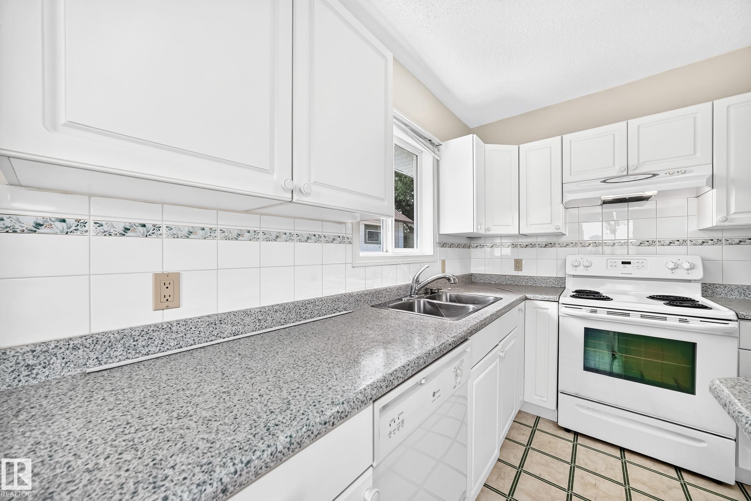 11045 125 Street Nw, Edmonton, AB - Indoor Photo Showing Kitchen With Double Sink