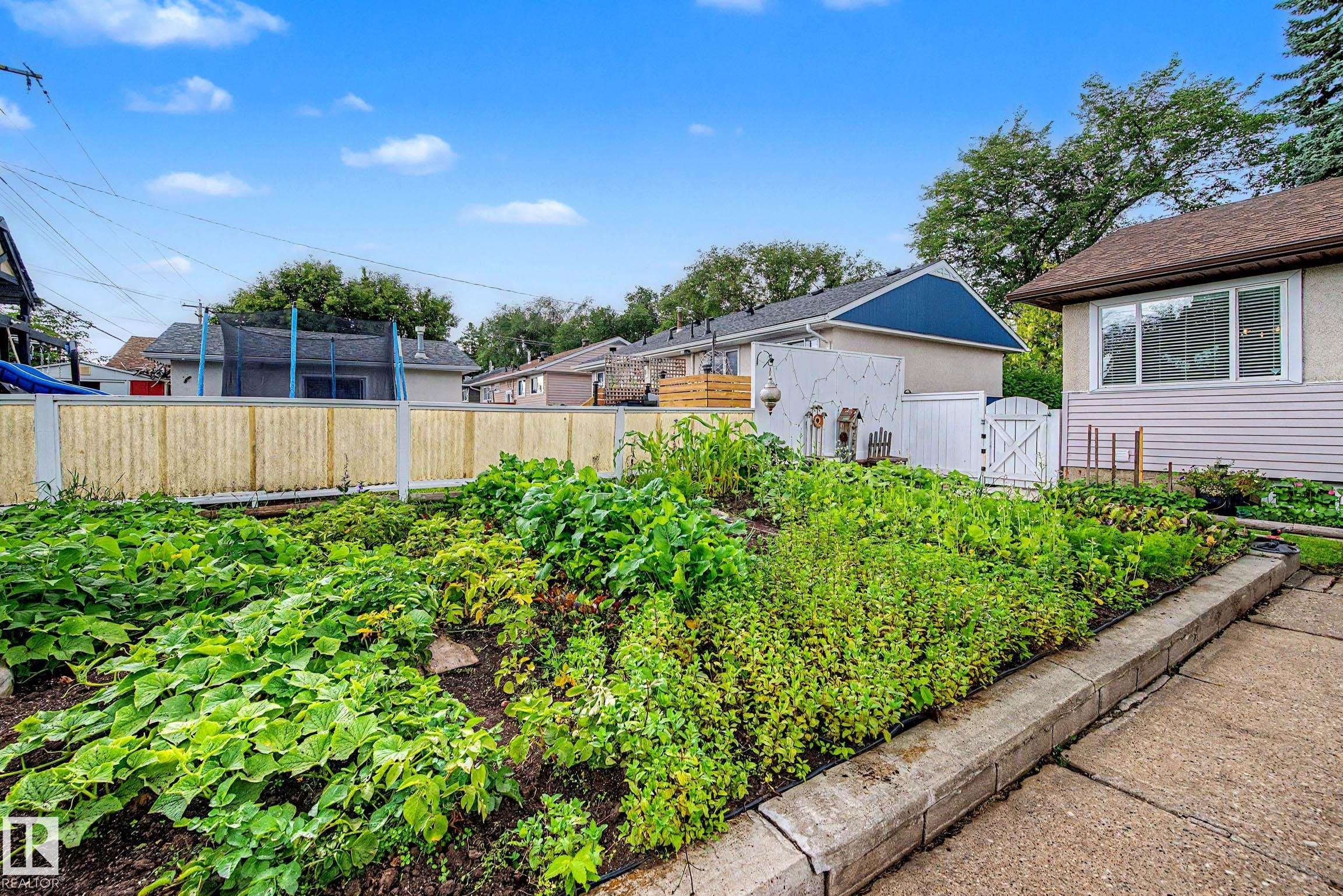 10715 50 Street Nw, Edmonton, AB - Outdoor