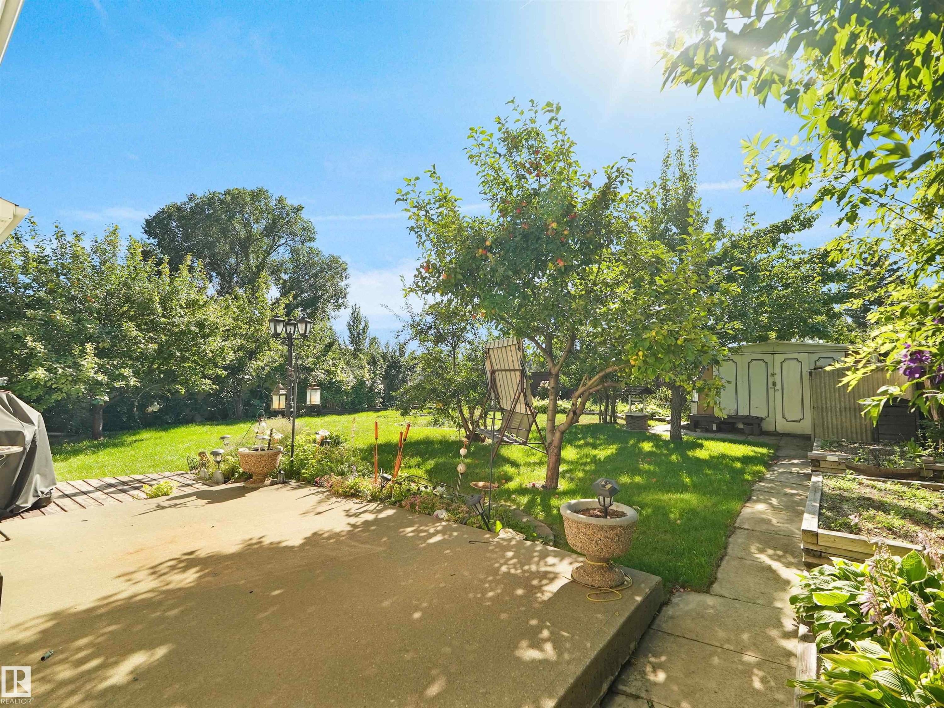 Expansive concrete patio with a detached storage shed, mature trees, and a manicured lawn - 7357 18 Avenue Nw, Edmonton, AB - Outdoor