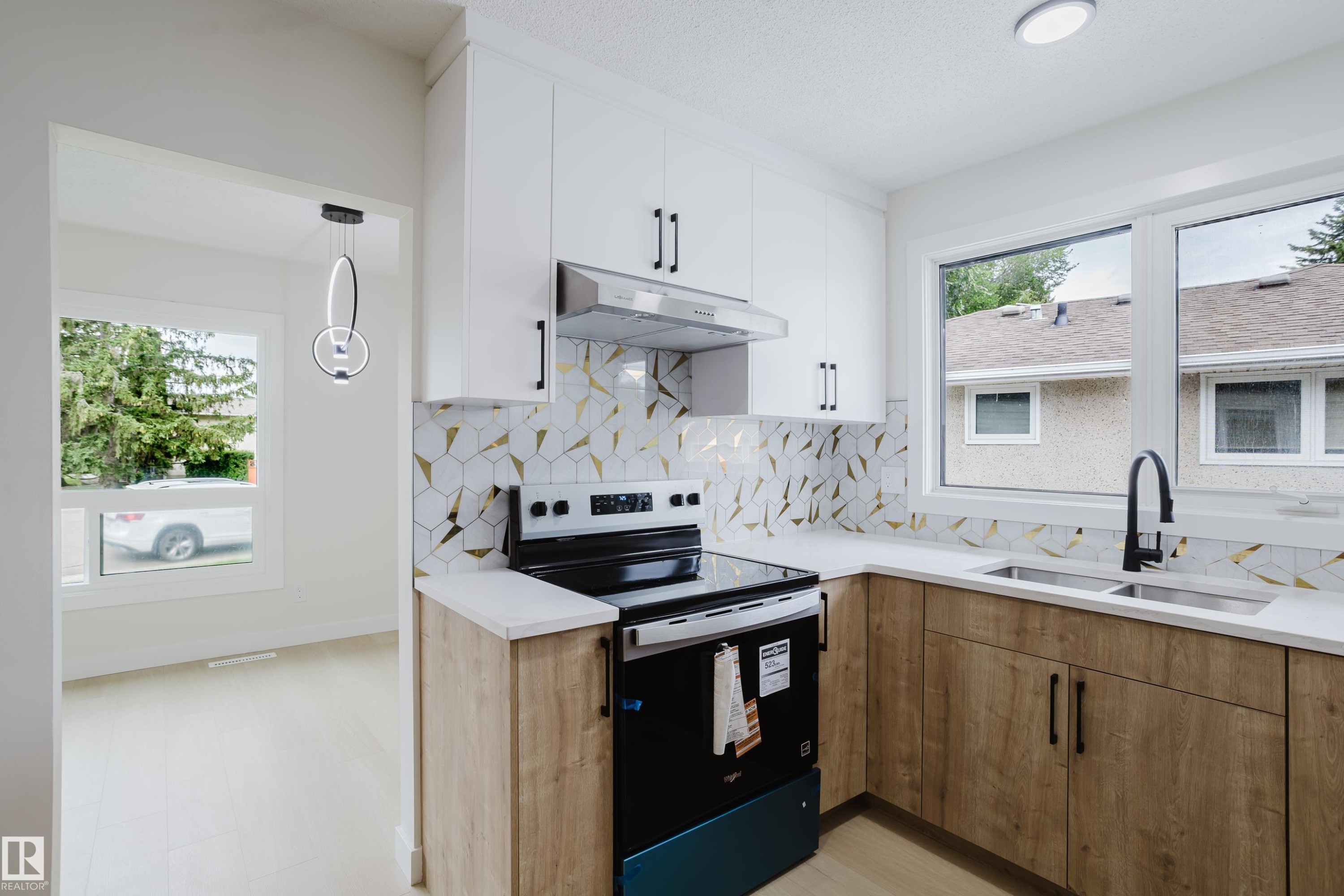 4103 111A Street Nw, Edmonton, AB - Indoor Photo Showing Kitchen With Double Sink