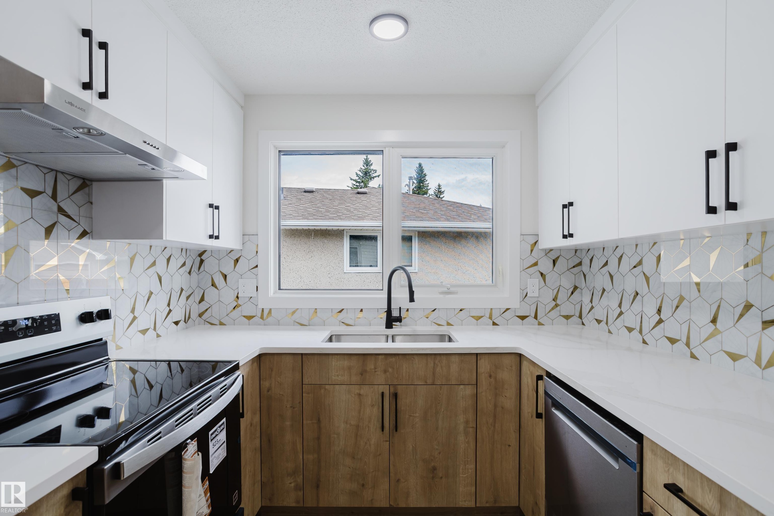 4103 111A Street Nw, Edmonton, AB - Indoor Photo Showing Kitchen With Double Sink
