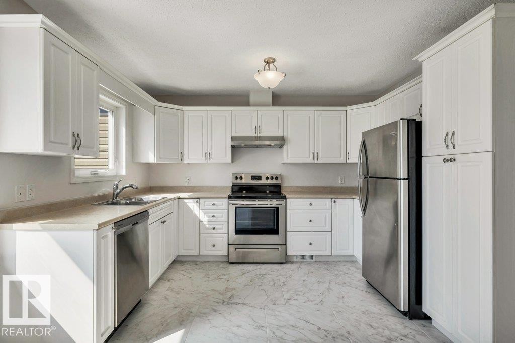 11128 132 Street Nw, Edmonton, AB - Indoor Photo Showing Kitchen With Stainless Steel Kitchen With Double Sink