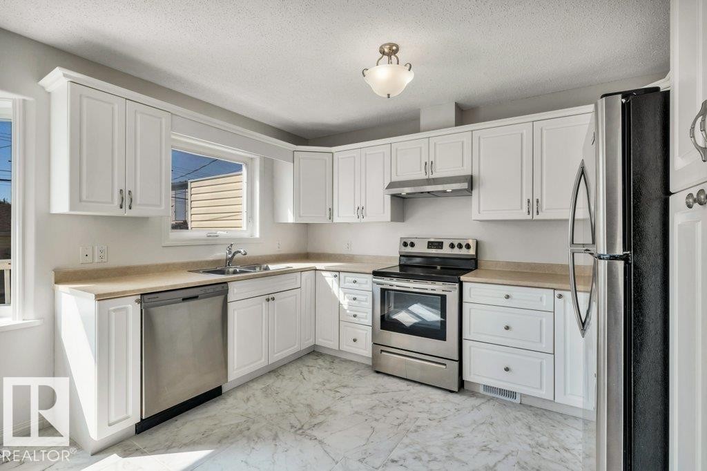 11128 132 Street Nw, Edmonton, AB - Indoor Photo Showing Kitchen With Stainless Steel Kitchen With Double Sink