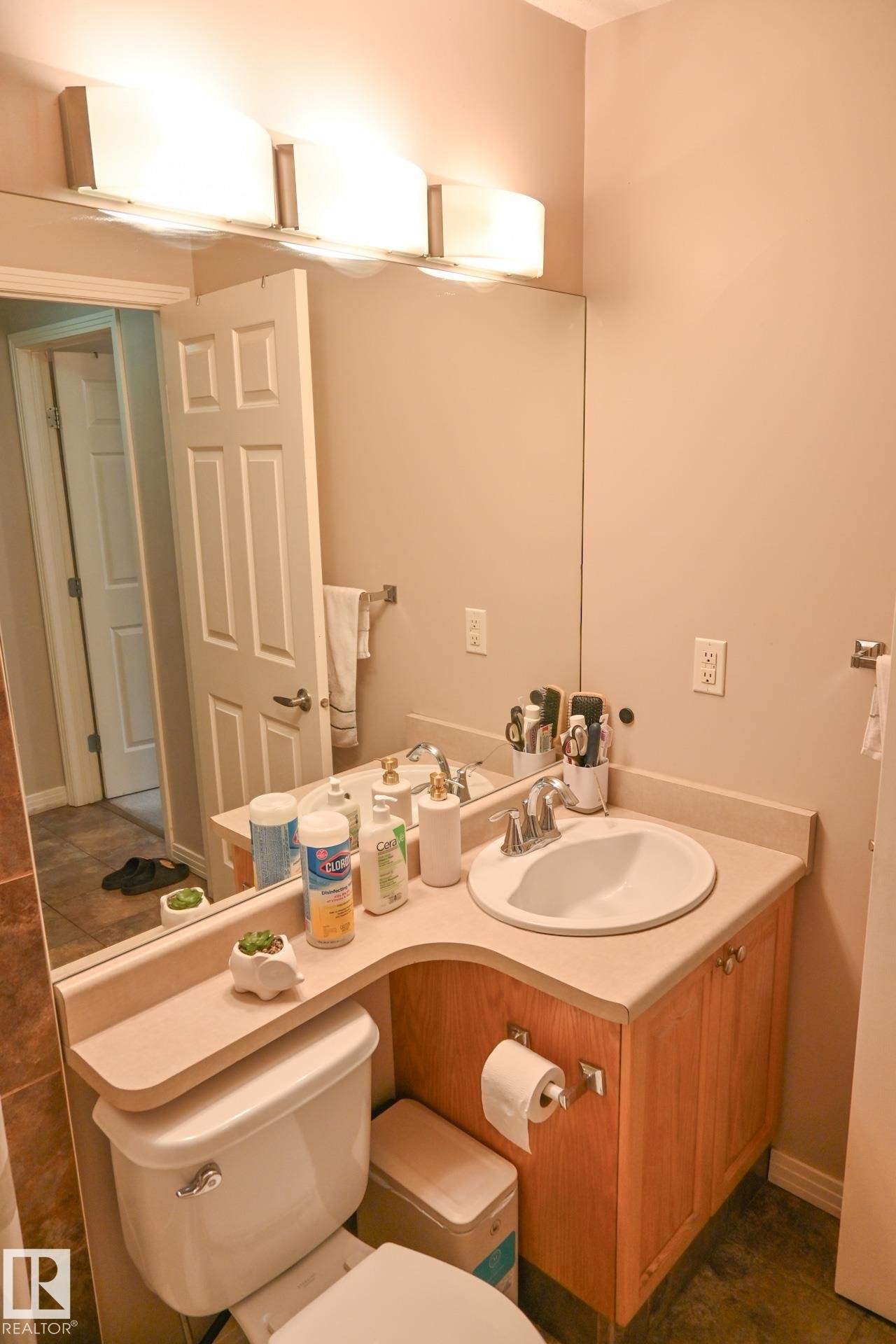 #316 5005 165 Av Nw, Edmonton, AB - Indoor Photo Showing Bathroom