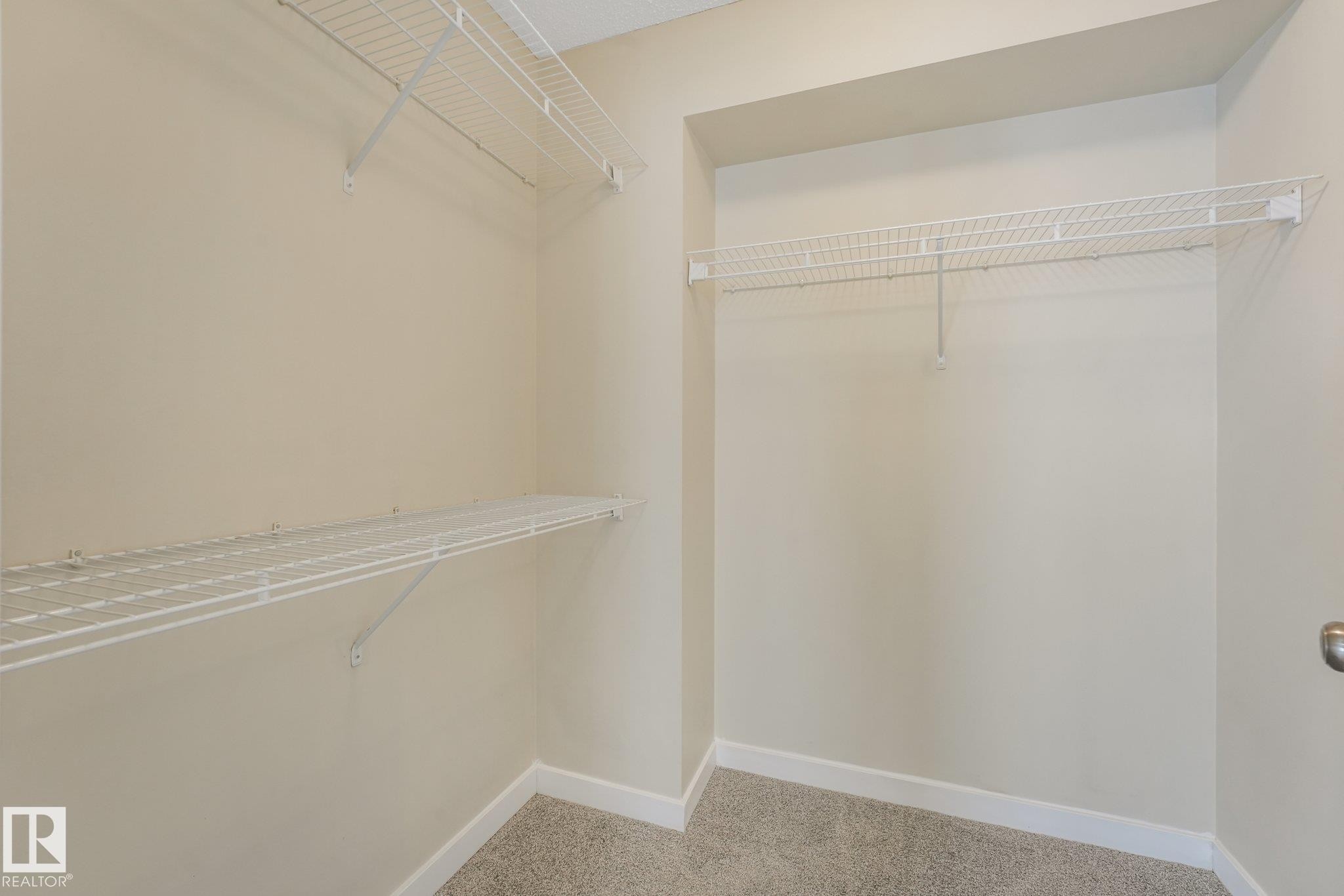 16523 89 Street Nw, Edmonton, AB - Indoor With Storage