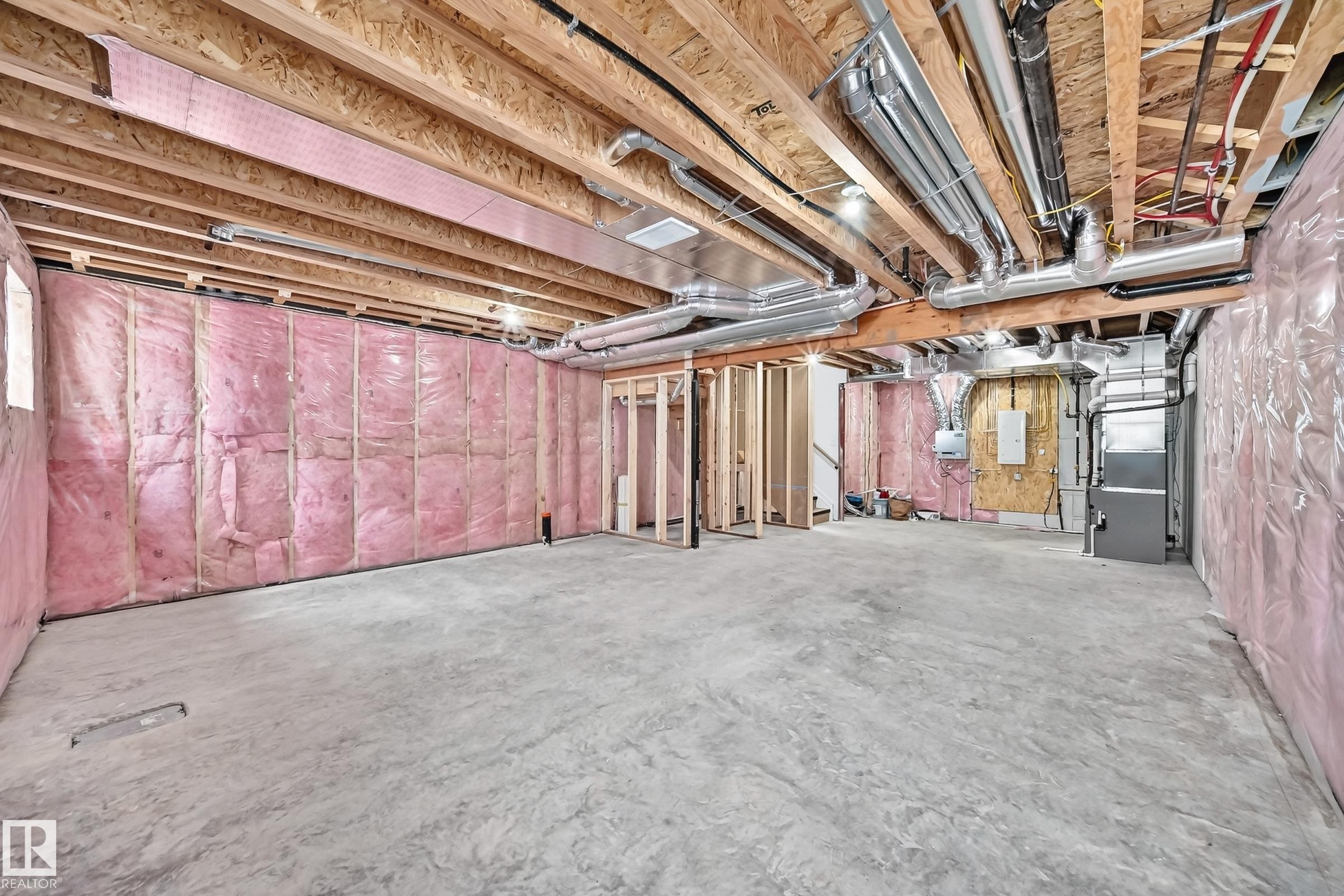 12411 86 Street Nw, Edmonton, AB - Indoor Photo Showing Basement