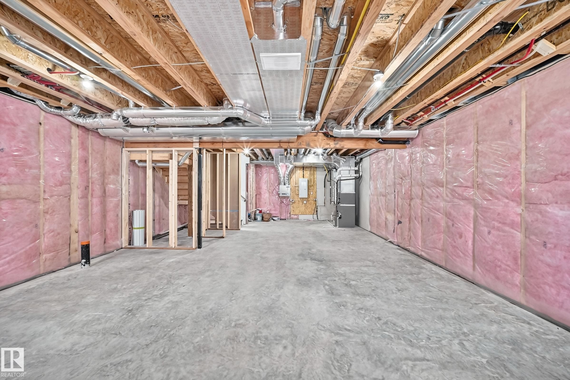 12411 86 Street Nw, Edmonton, AB - Indoor Photo Showing Basement