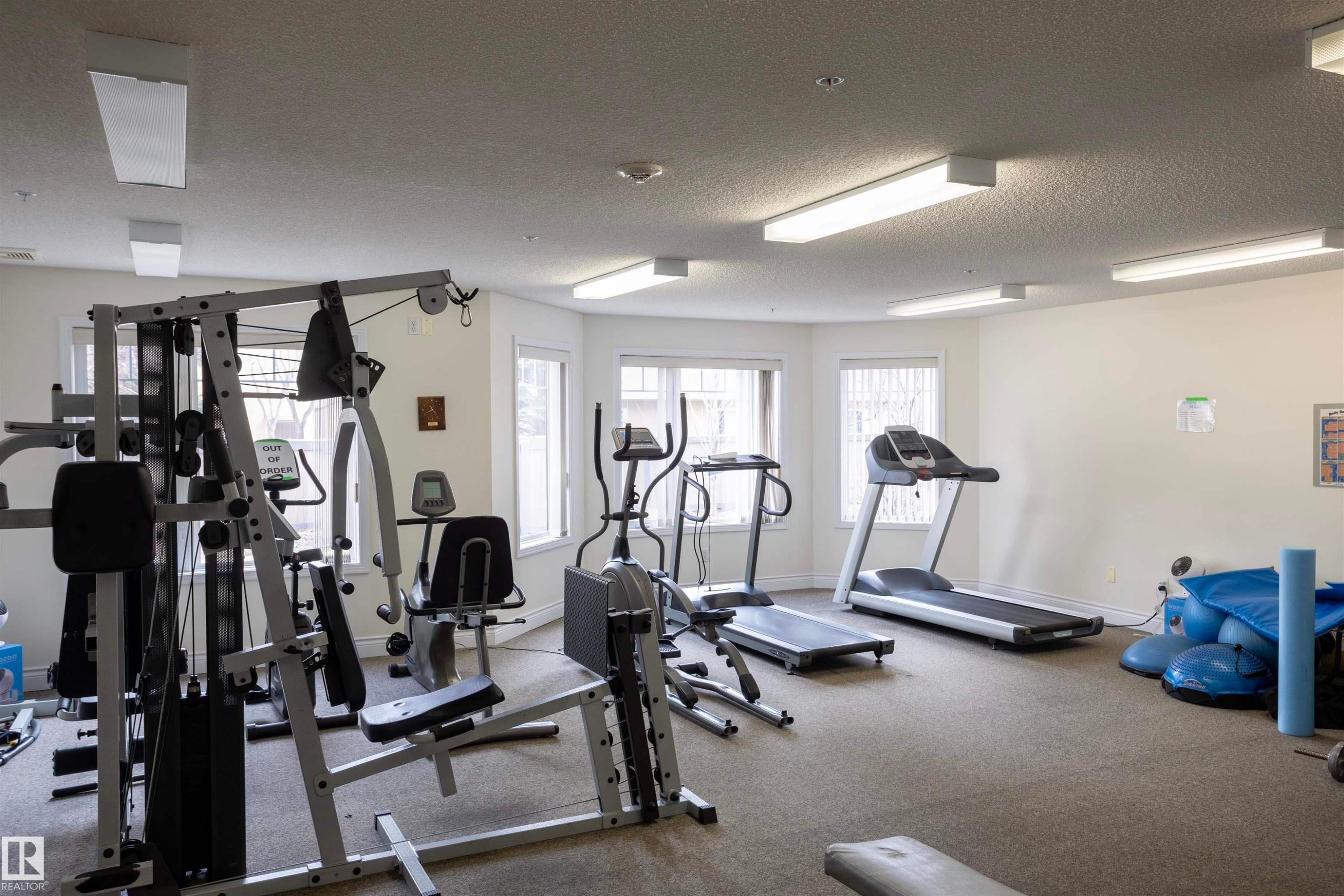 Fitness room featuring multiple exercise machines, broad windows, and carpet flooring - #204 2420 108 St Nw, Edmonton, AB