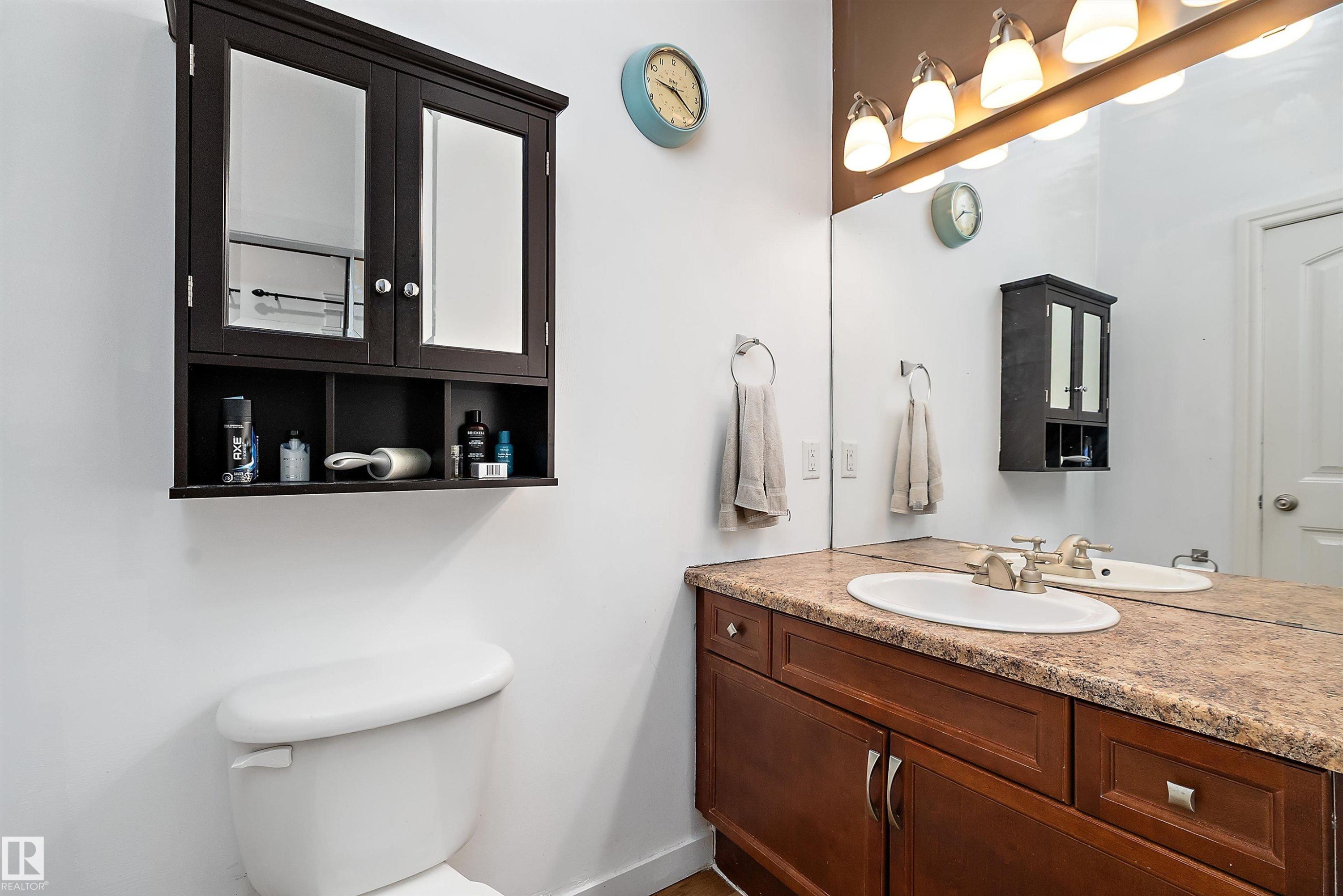 1103 115 Street Sw, Edmonton, AB - Indoor Photo Showing Bathroom