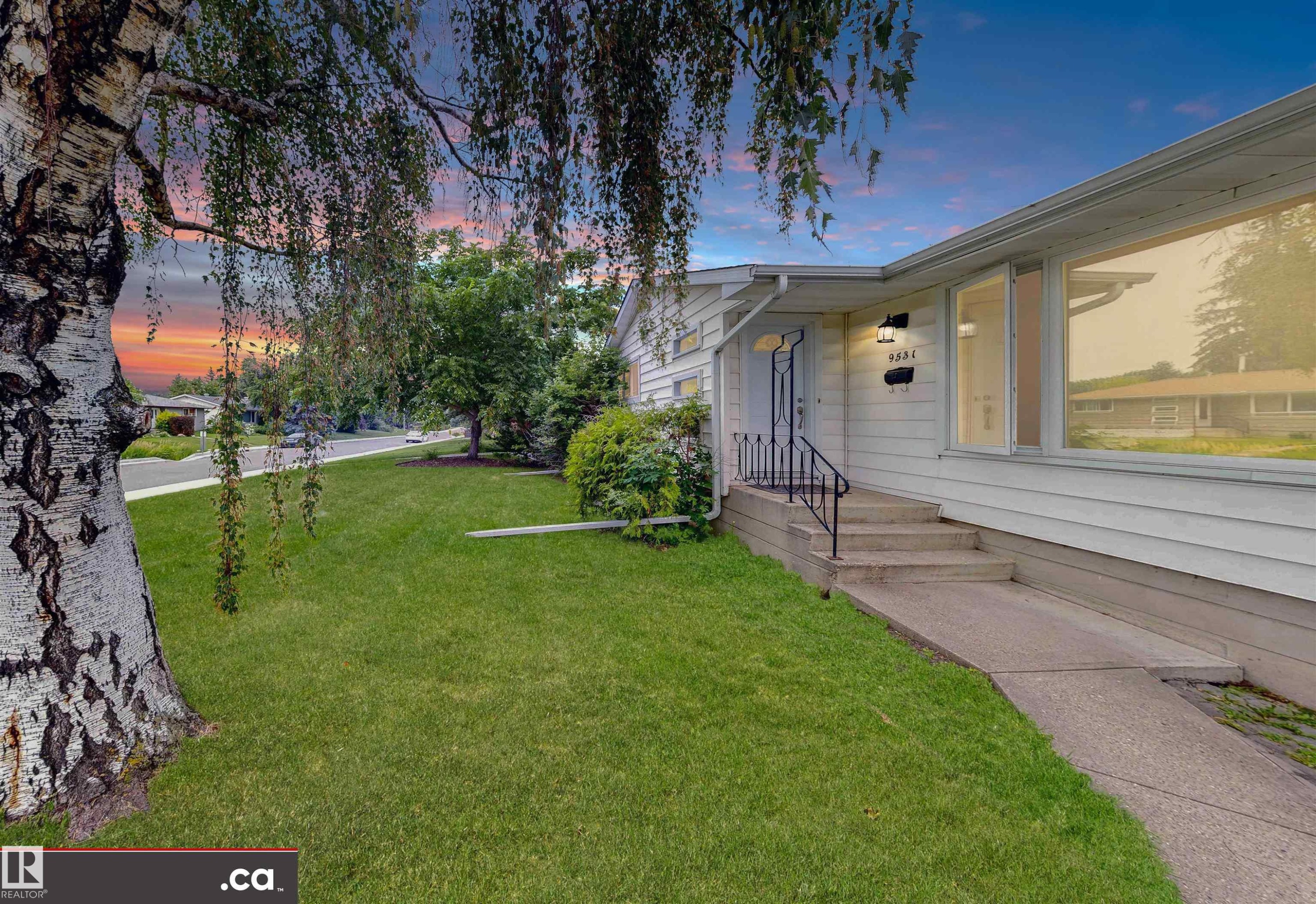 Established landscaping with a mature birch tree - 9531 74 Street Nw, Edmonton, AB - Outdoor