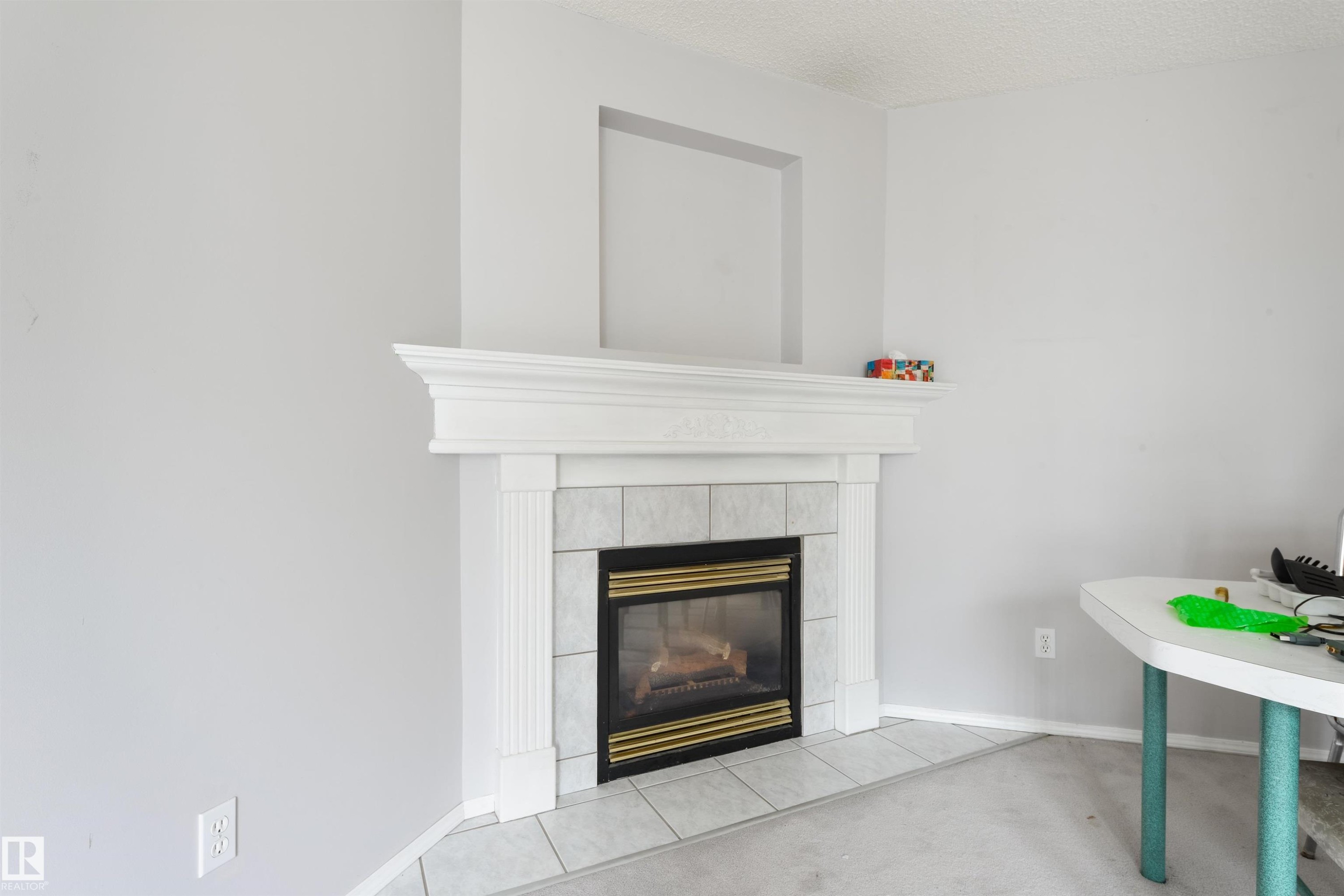 #123 1670 Jamha Rd Nw, Edmonton, AB - Indoor Photo Showing Living Room With Fireplace