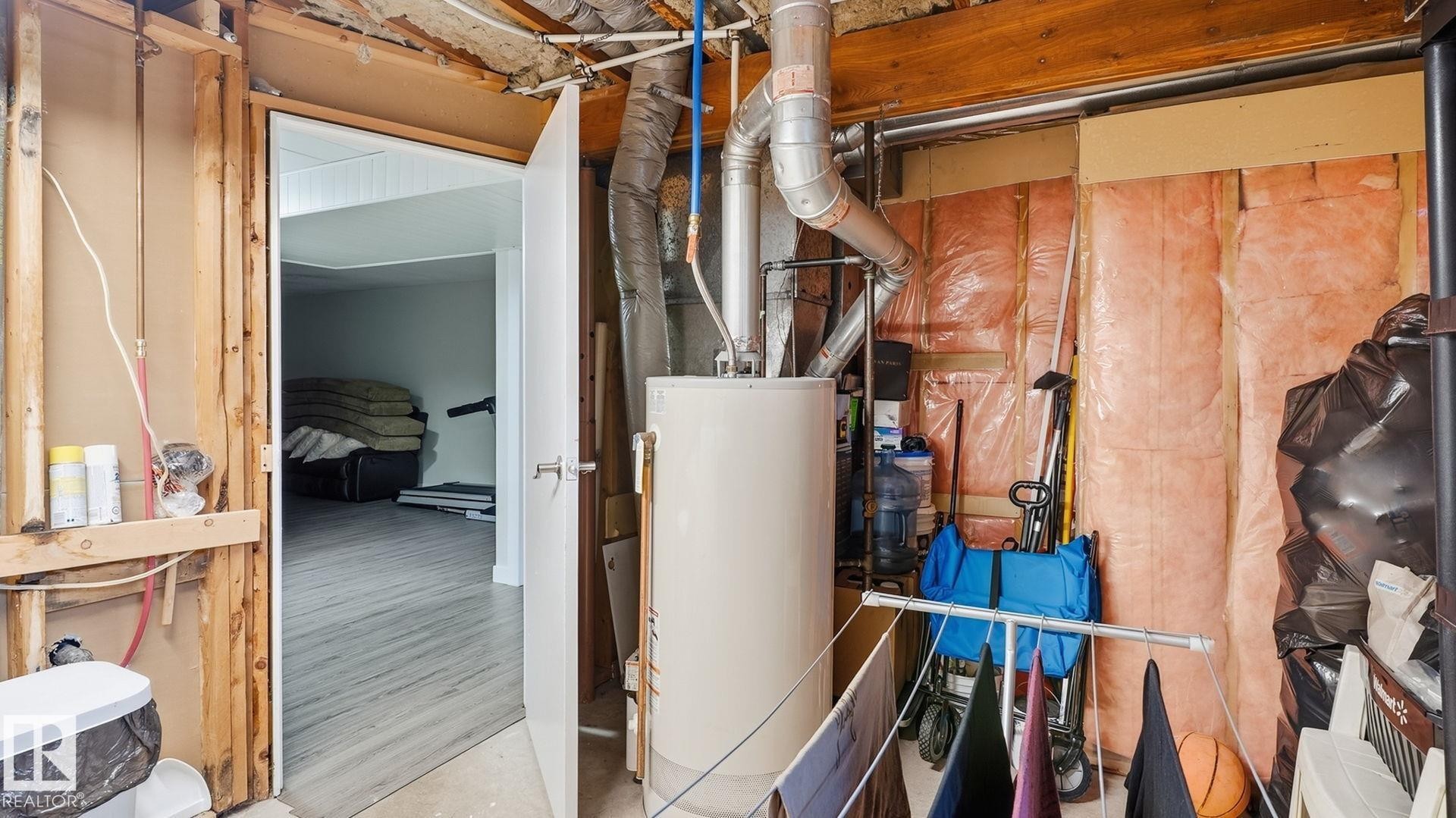 493 Kirkness Road Nw, Edmonton, AB - Indoor Photo Showing Basement