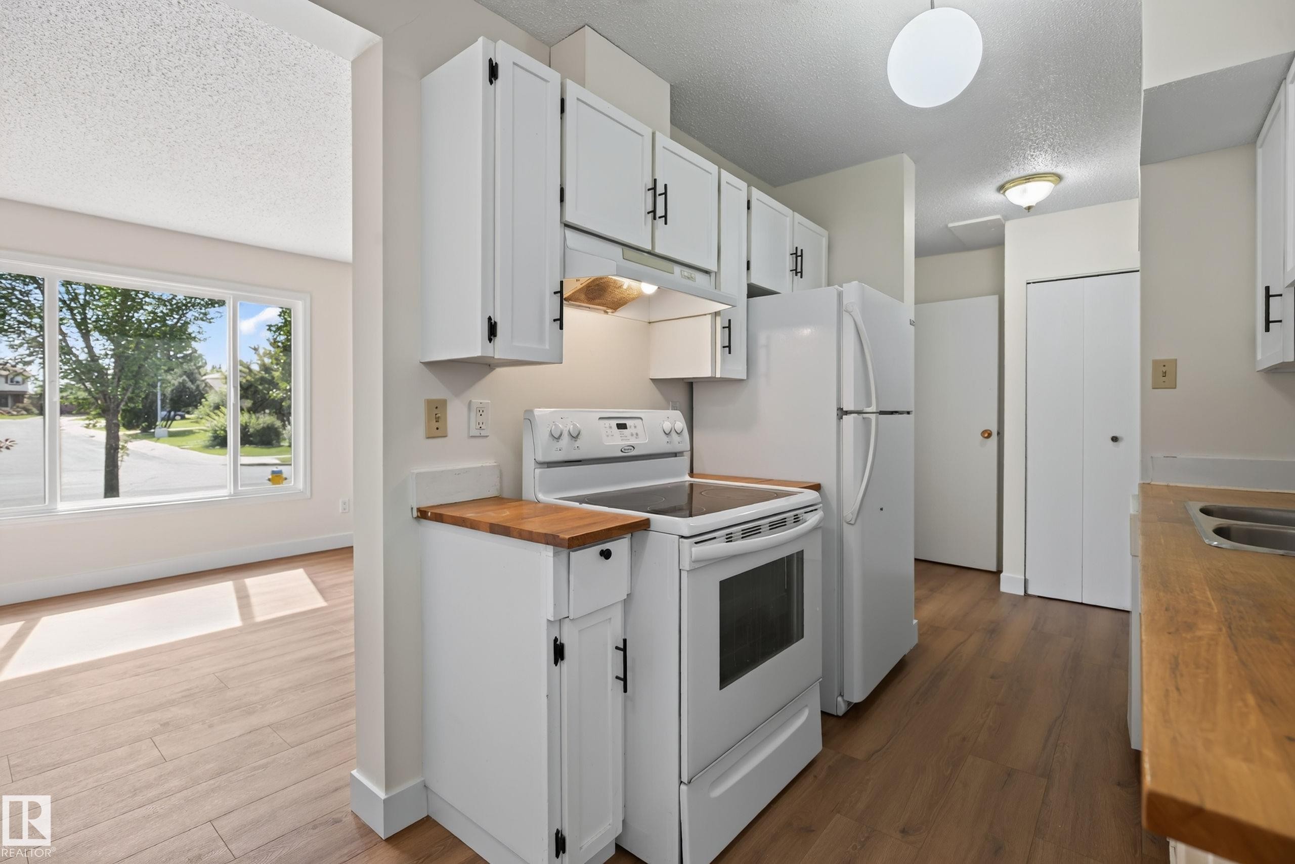 18478 62B Avenue Nw, Edmonton, AB - Indoor Photo Showing Kitchen With Double Sink