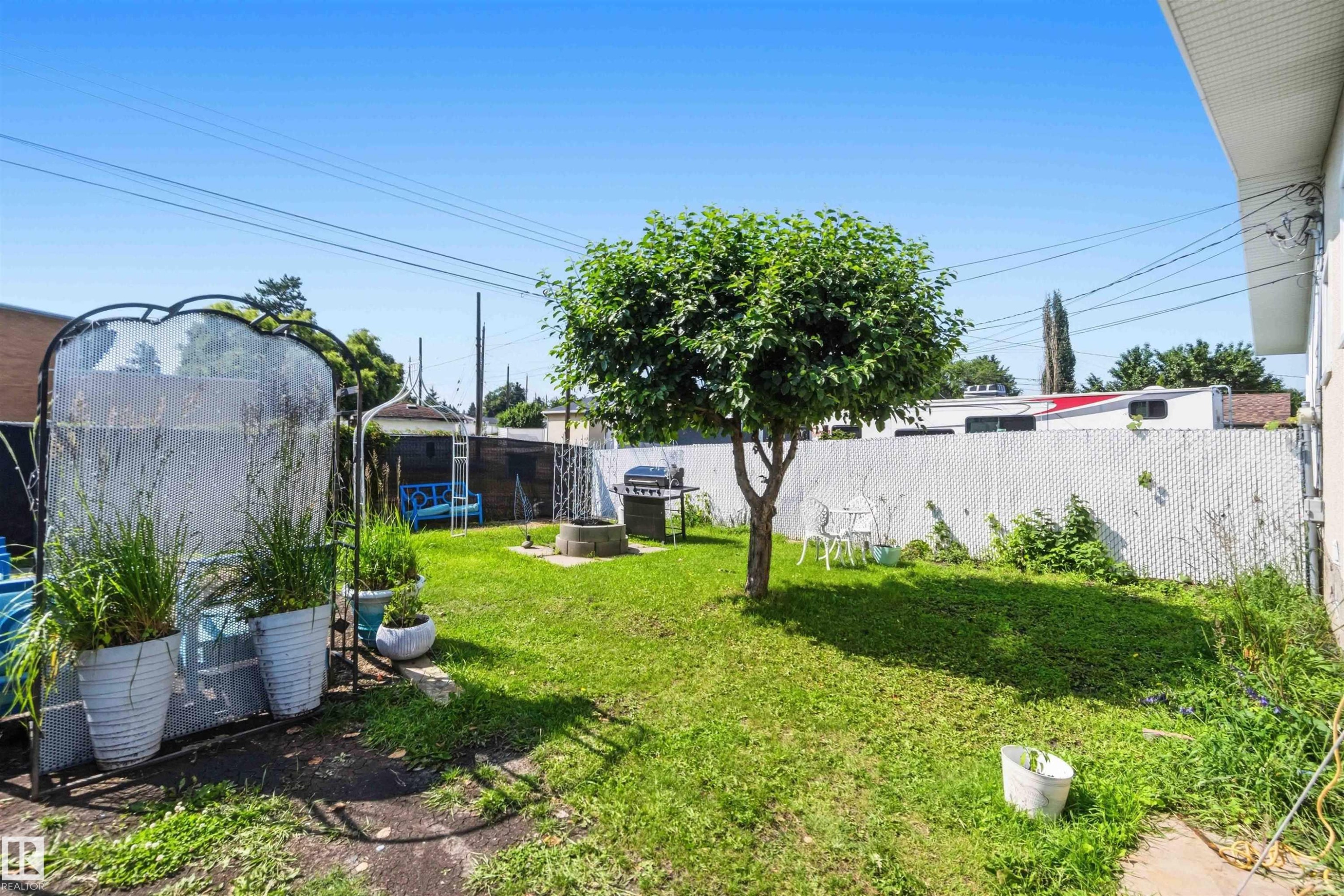 Expansive backyard featuring a mature tree, well-maintained lawn, and a chain-link fence - 13408 67 Street Nw, Edmonton, AB