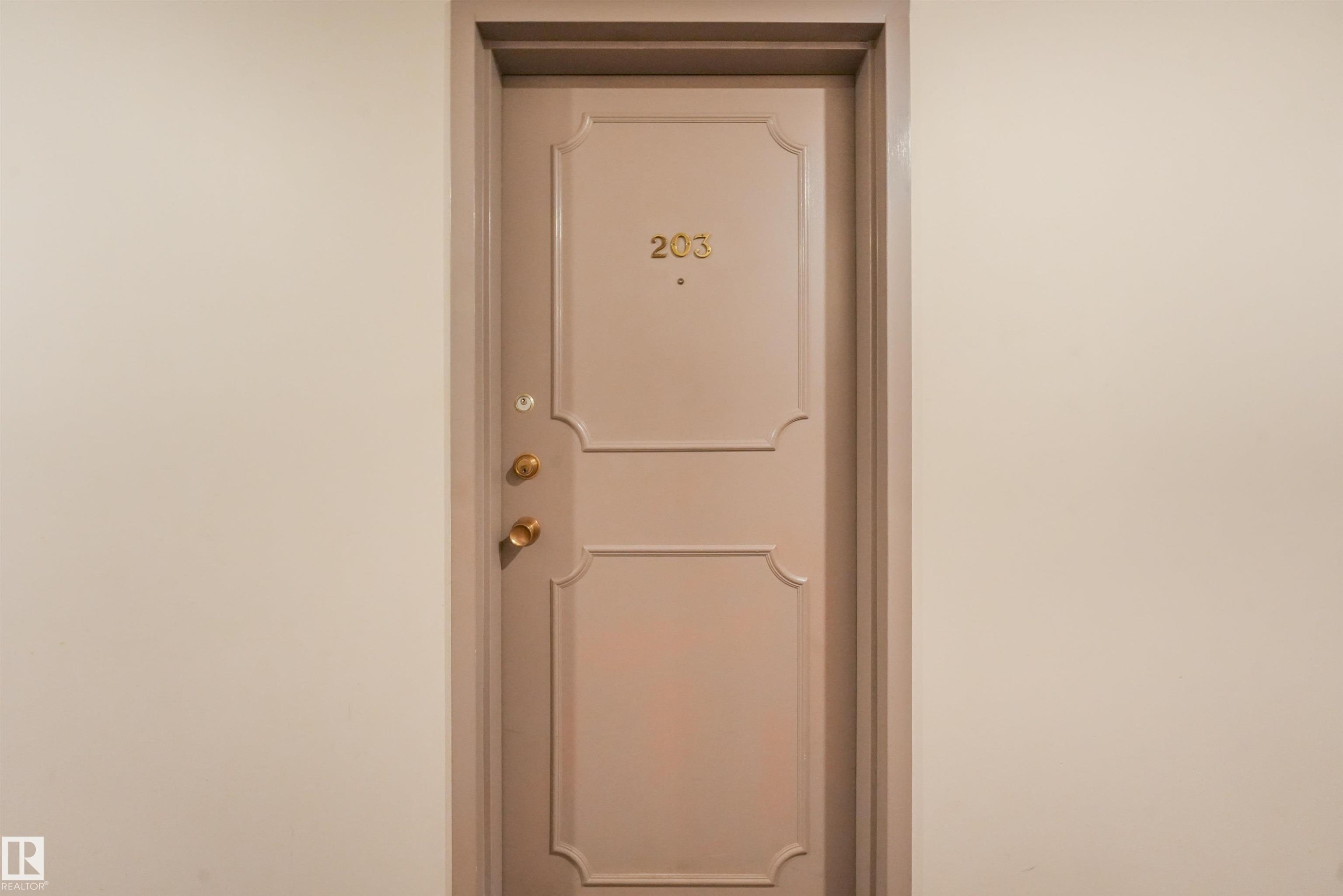 Panel door with decorative trim and brass hardware - #203 10171 119 St Nw, Edmonton, AB