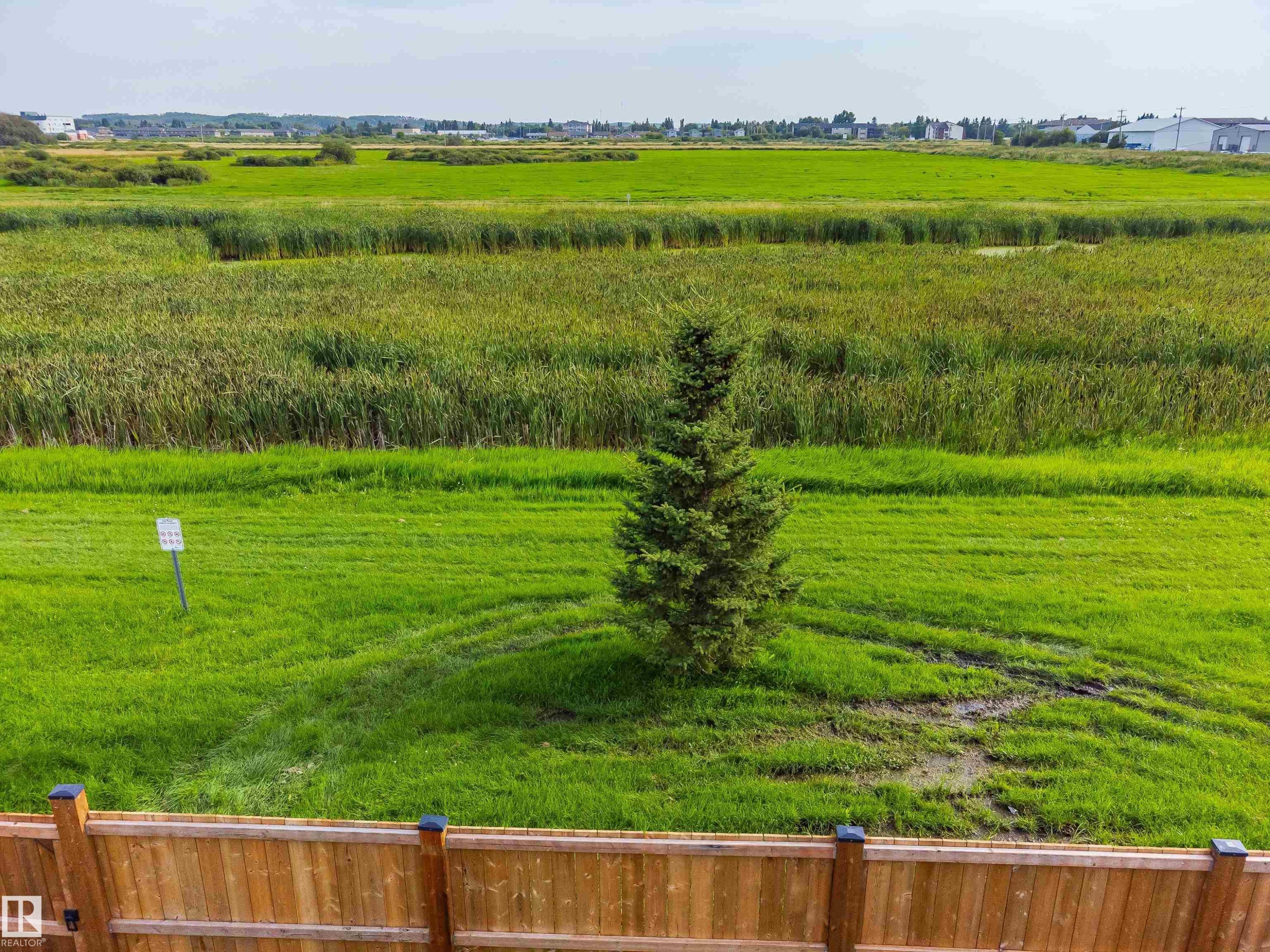 Expansive grounds featuring manicured lawn, mature evergreen specimen tree, and agricultural fields beyond - 4927 57 Avenue, Cold Lake, AB