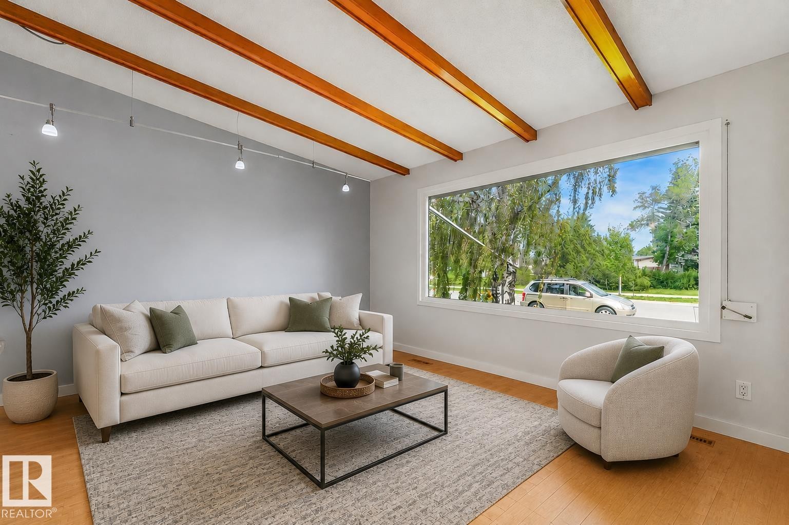 4812 Malmo Road Nw, Edmonton, AB - Indoor Photo Showing Living Room