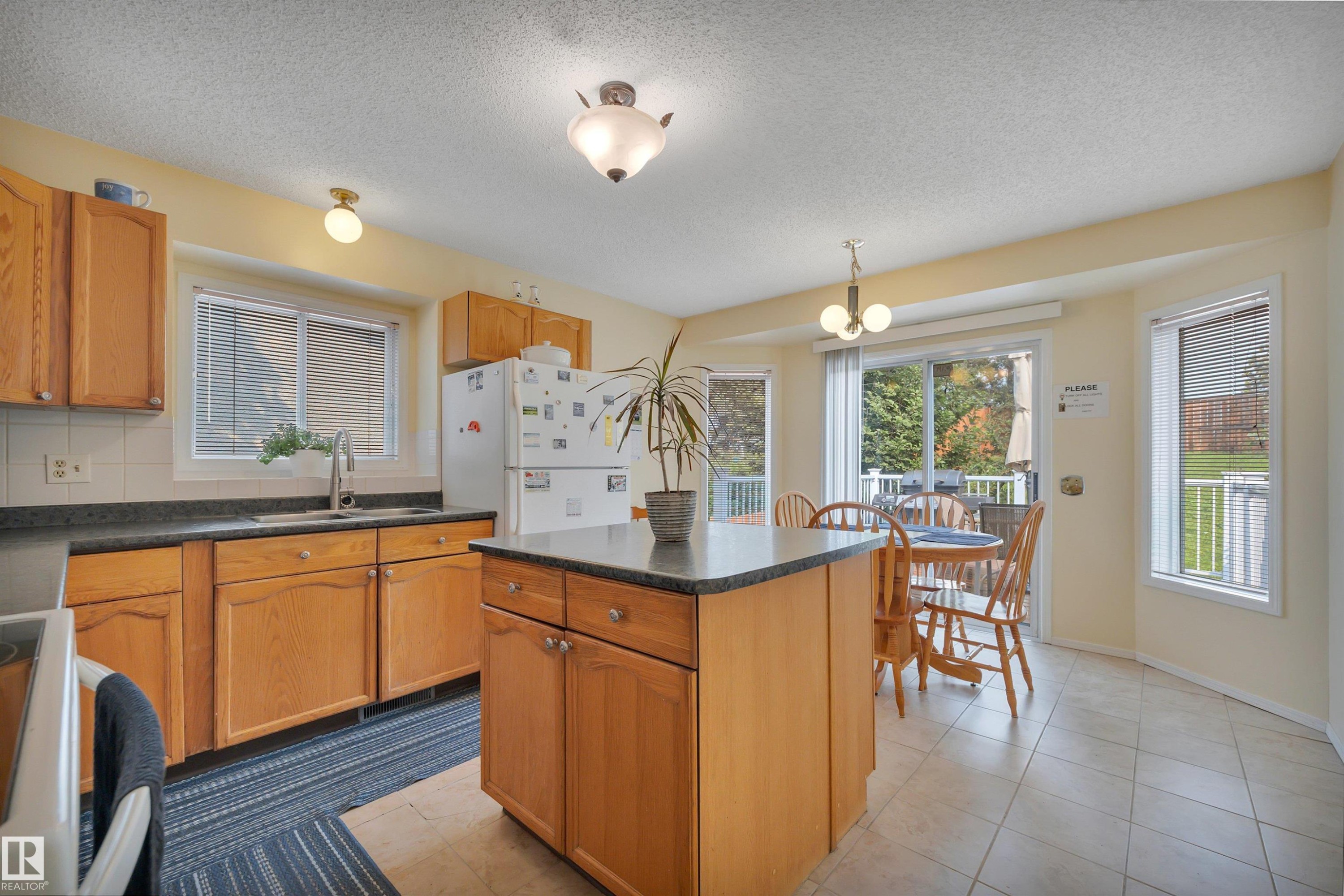 18920 78 Avenue Nw, Edmonton, AB - Indoor Photo Showing Kitchen With Double Sink