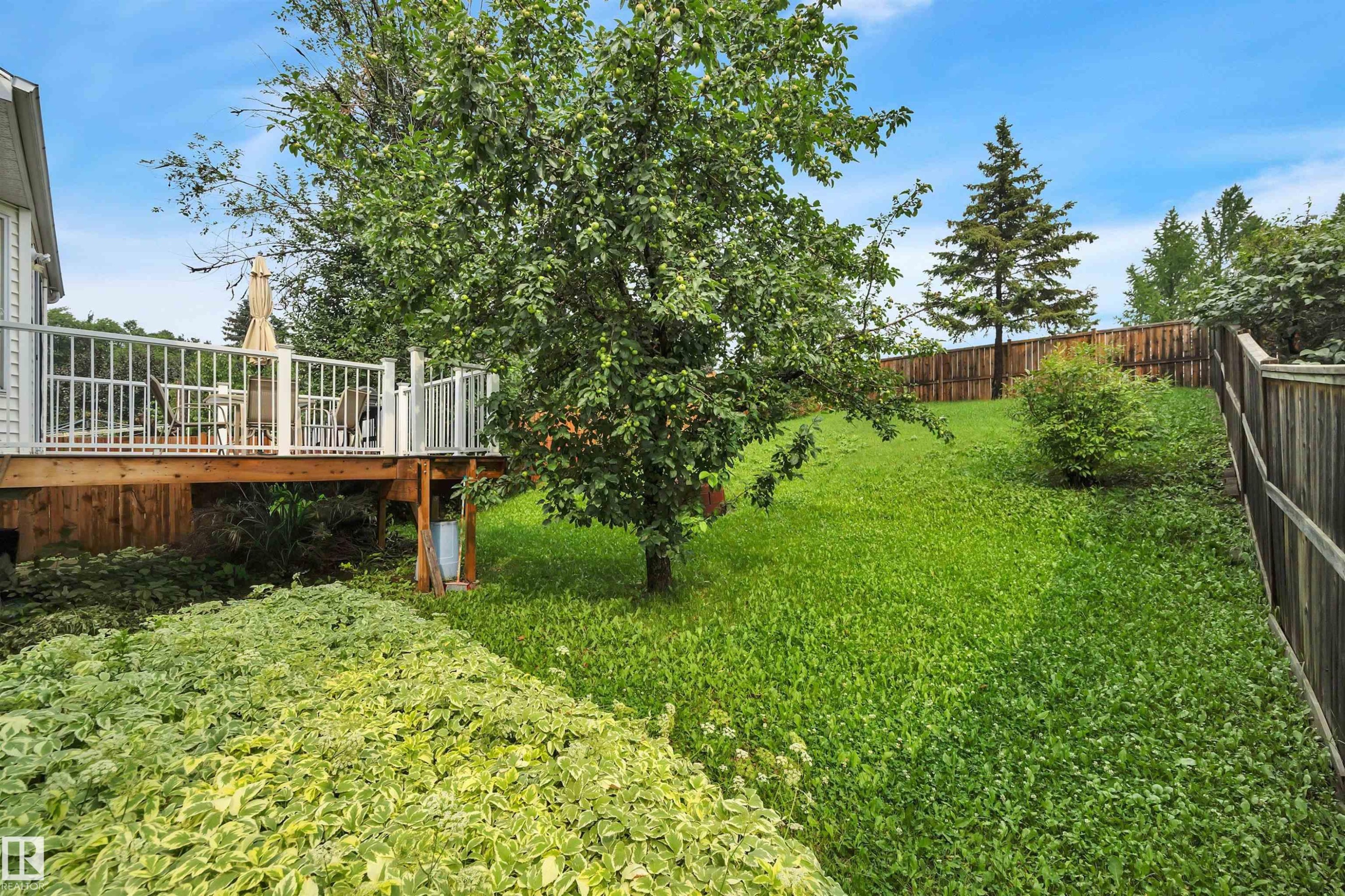18920 78 Avenue Nw, Edmonton, AB - Outdoor With Deck Patio Veranda