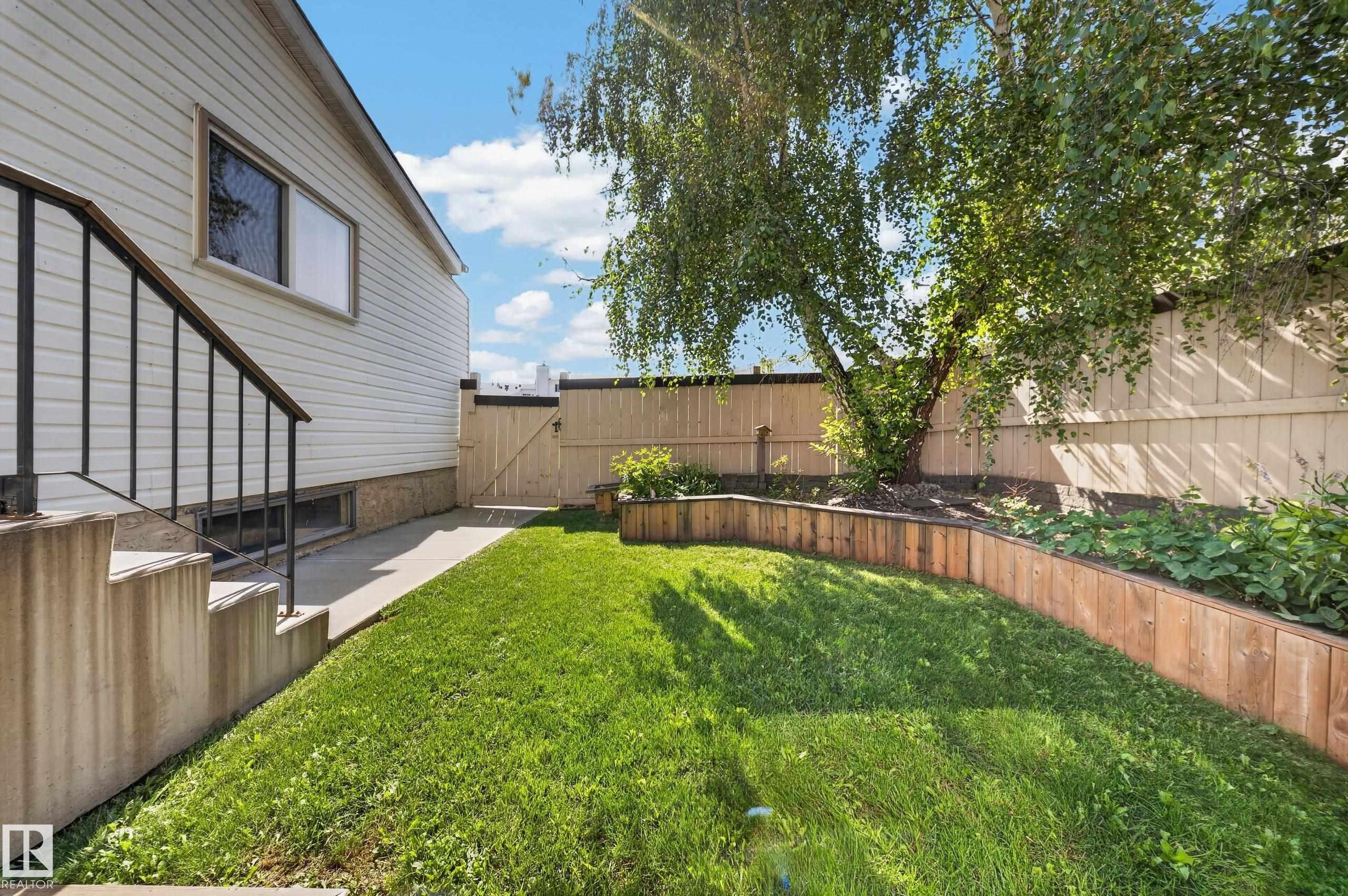 Lawn area with mature tree, wood privacy fencing, and wood-paneled garden beds - 155 Marlborough Place Nw, Edmonton, AB