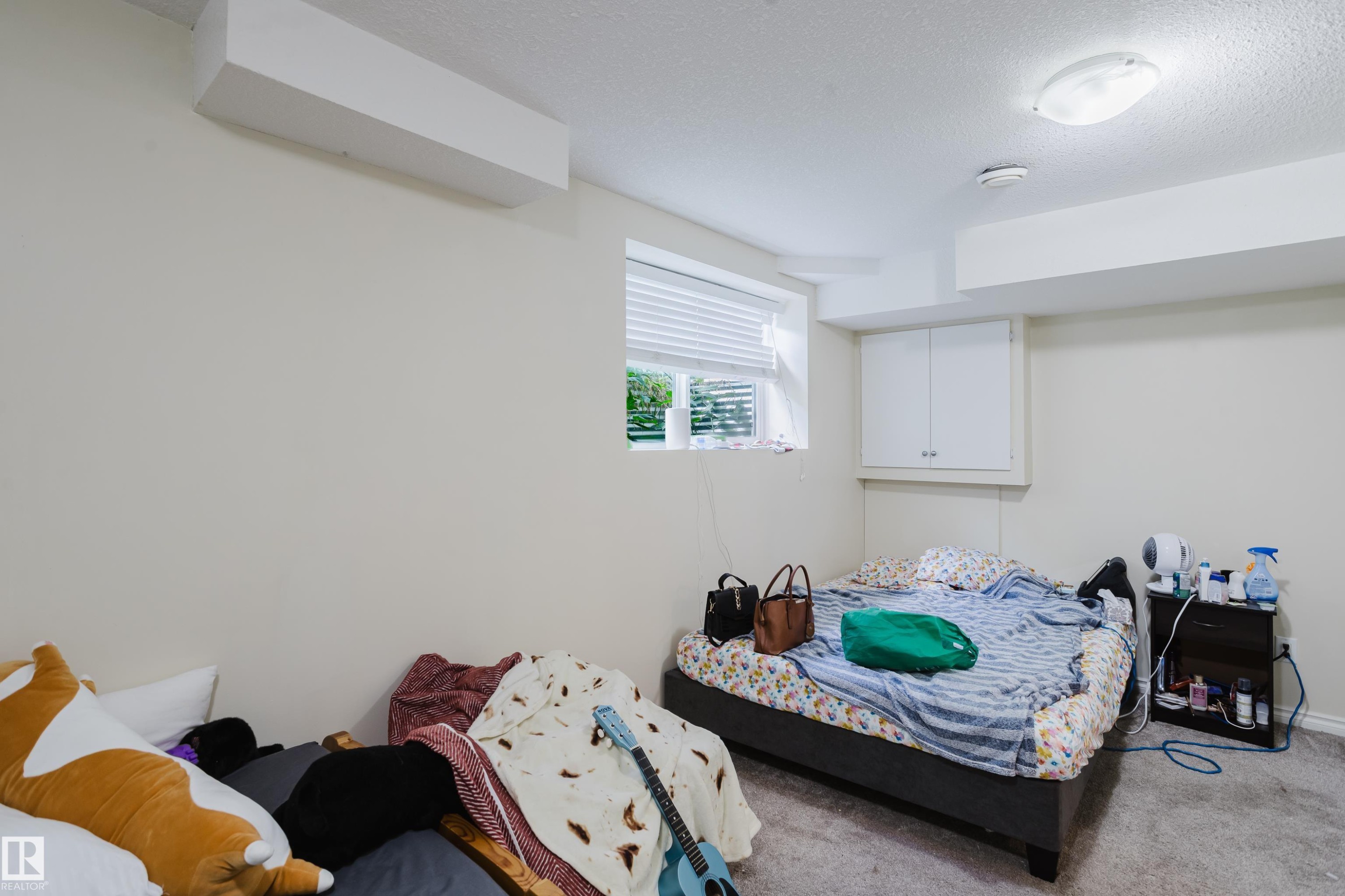 Carpeted flooring, recessed window with blinds, ceiling-mounted light fixture, built-in wall cabinetry - 10332 161 Street Nw, Edmonton, AB