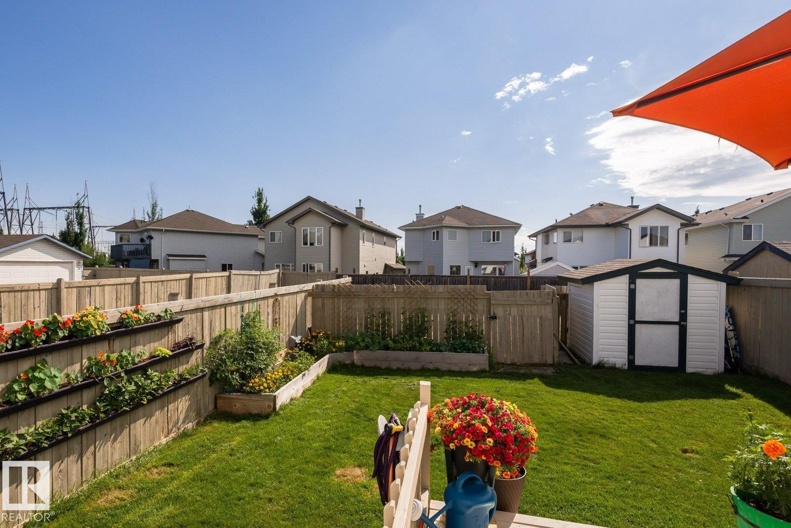Manicured lawn with a wooden privacy fence - 203 84 Street Sw, Edmonton, AB - Outdoor With Backyard