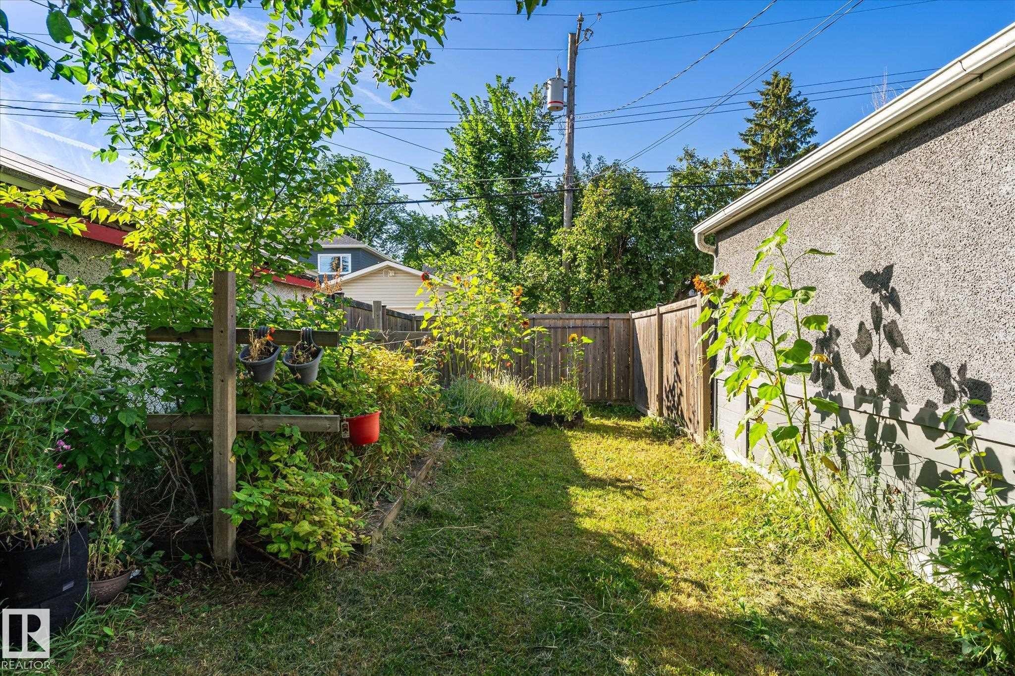 Grassed side yard featuring a wood fence, stucco exterior, and mature greenery - 10943 72 Avenue Nw, Edmonton, AB