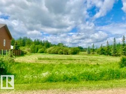 433 SWEDBERG Street  Rural Wetaskiwin County, AB T0C 2V0