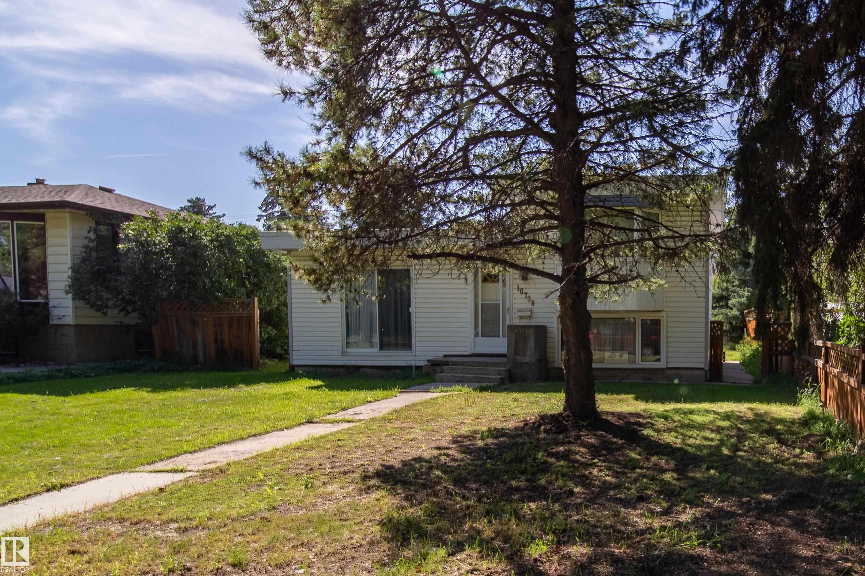 White siding exterior with a prominent front tree, concrete walkway, and established landscaping - 10738 129 Street Nw, Edmonton, AB