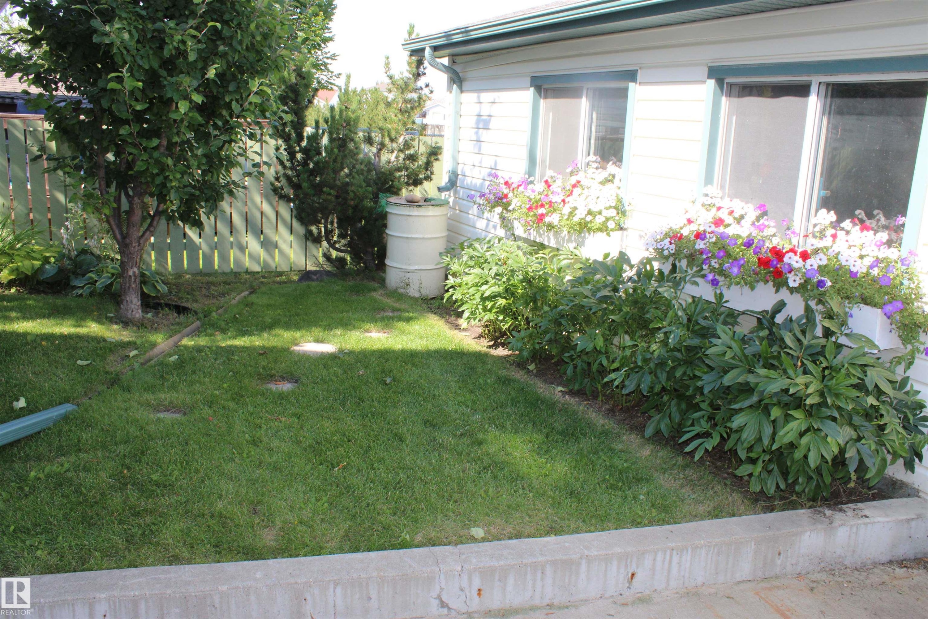 Manicured lawn area with a mature tree - 15031 135 Street Nw, Edmonton, AB