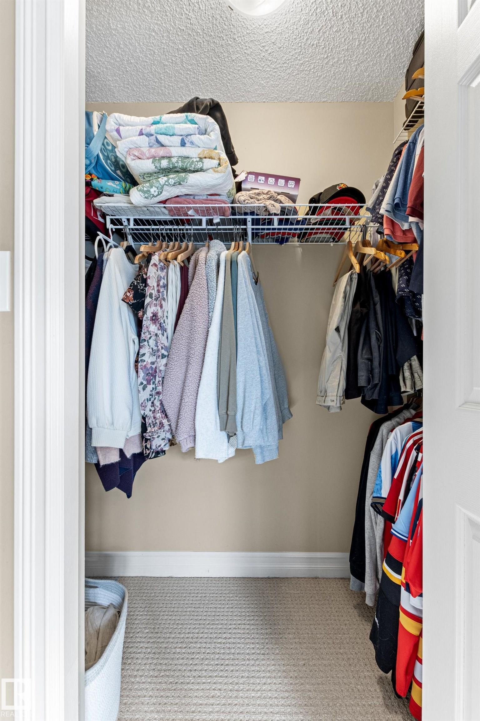 Walk-in closet featuring wire shelving, hanging rods, and neutral-toned carpeting - 5319 3 Avenue Sw, Edmonton, AB