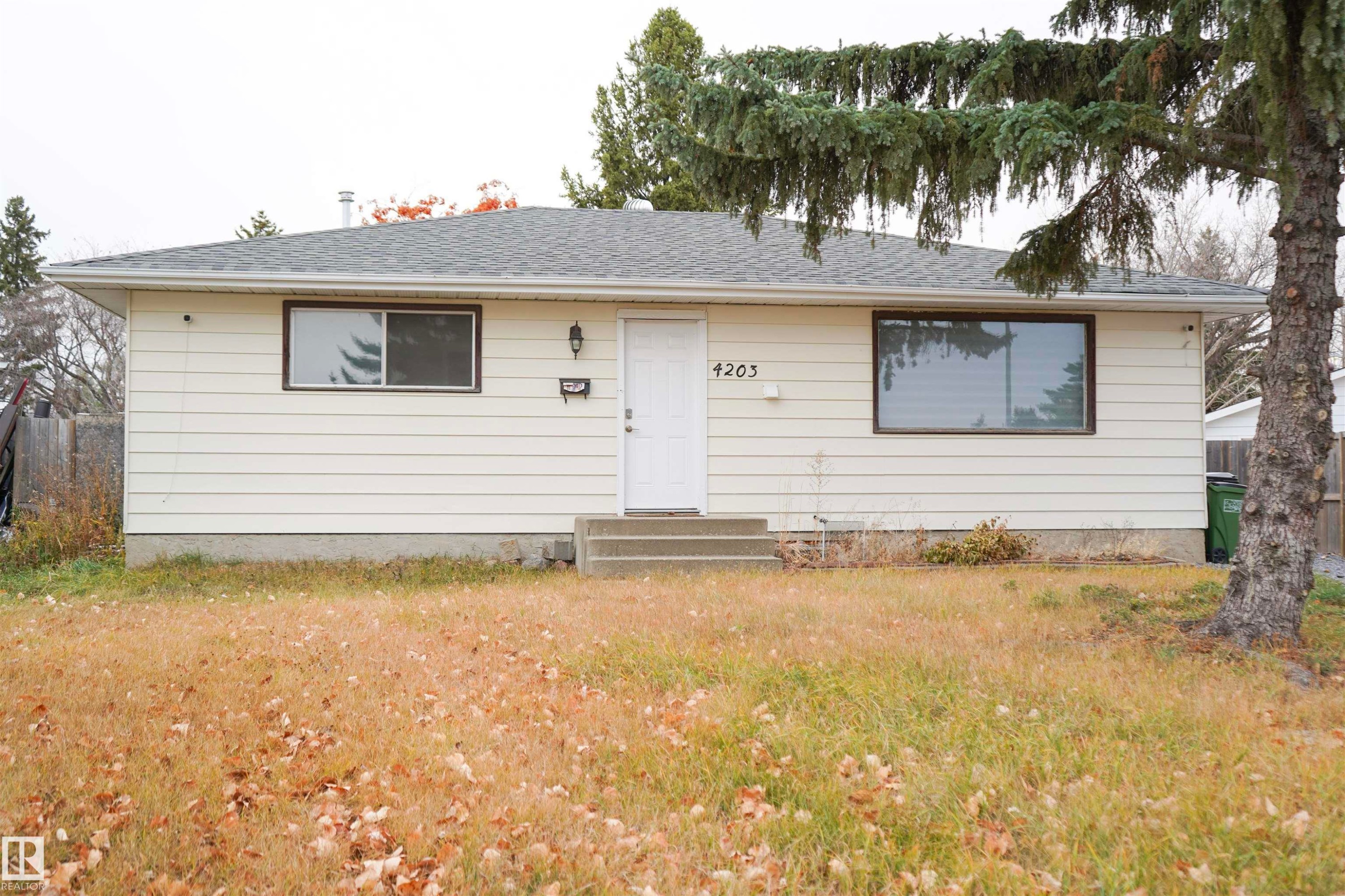 4203 83 Street Nw, Edmonton, AB