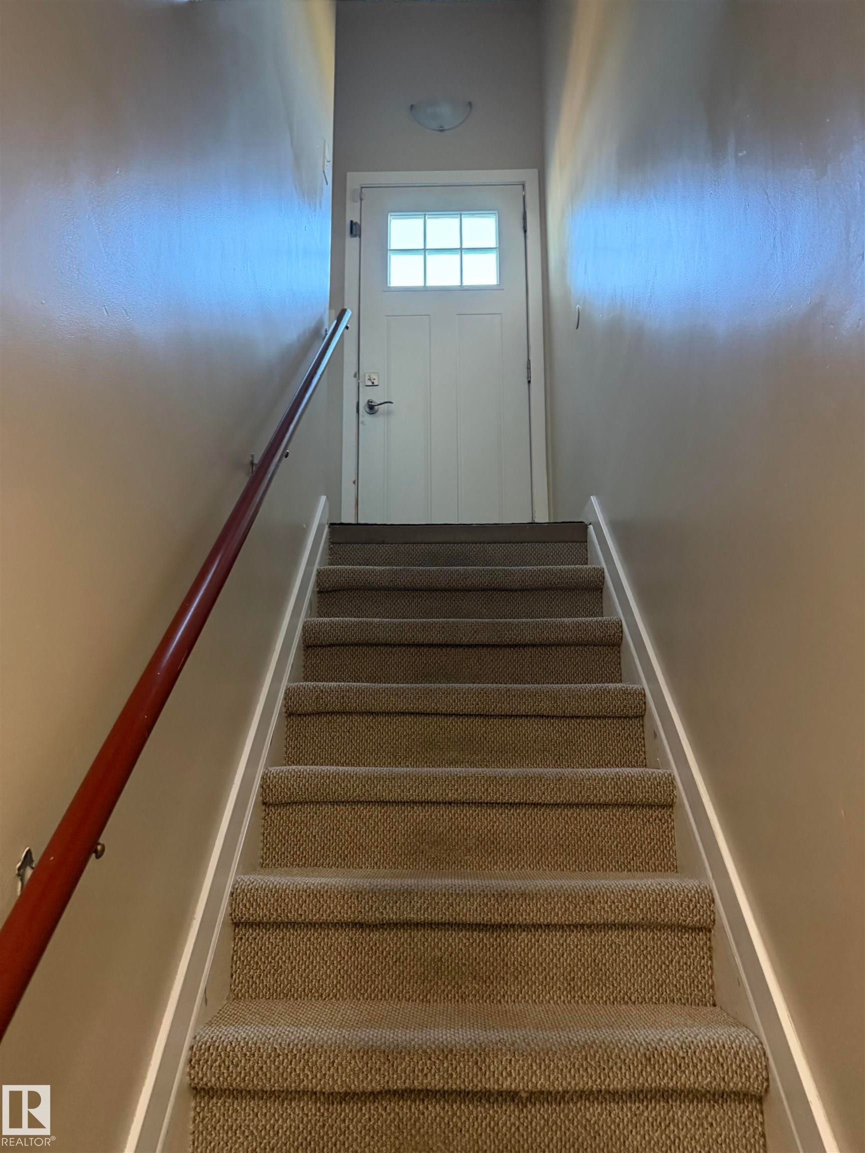 Carpeted staircase with a wood-finish handrail leading to an entryway door featuring a multi-pane frosted glass window and a flush-mount ceiling light fixture - 12002 48 Street Nw, Edmonton, AB