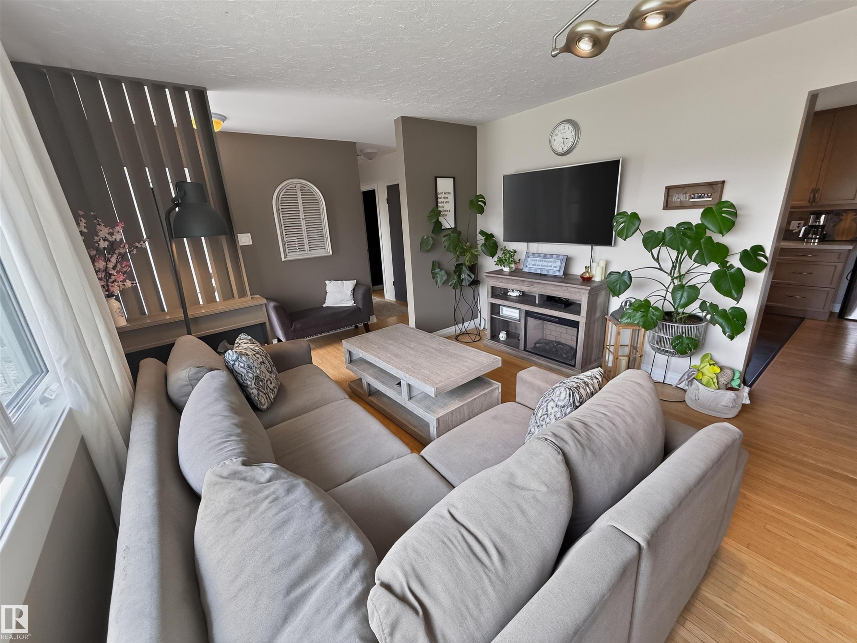 16046 95 Avenue Nw, Edmonton, AB - Indoor Photo Showing Living Room